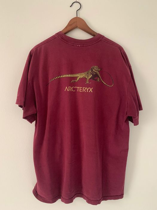 Arc'Teryx Vintage Arc'Teryx Lizard Tee | Grailed