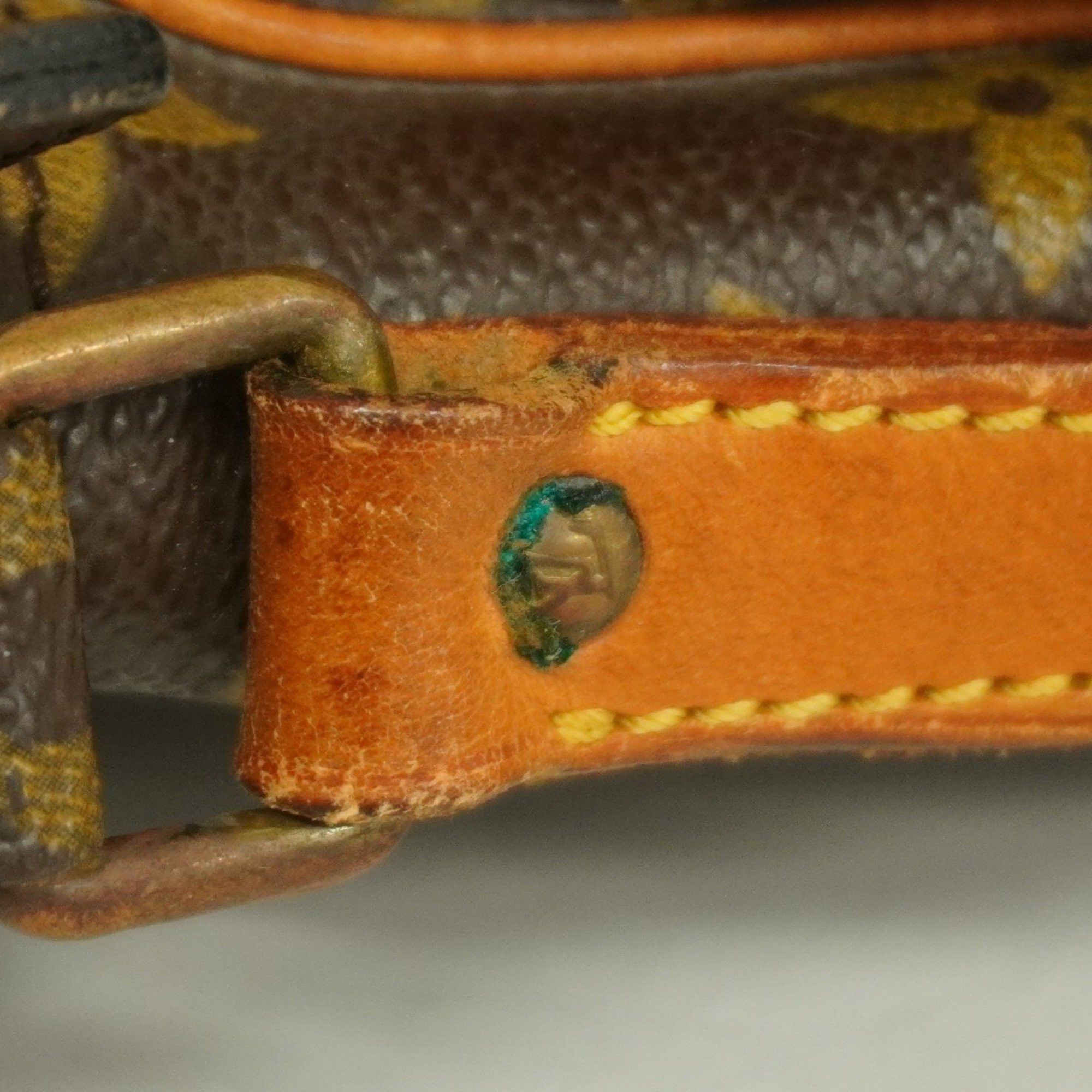 Louis Vuitton Louis Vuitton Amazon shoulder Size ONE SIZE - 10 Thumbnail