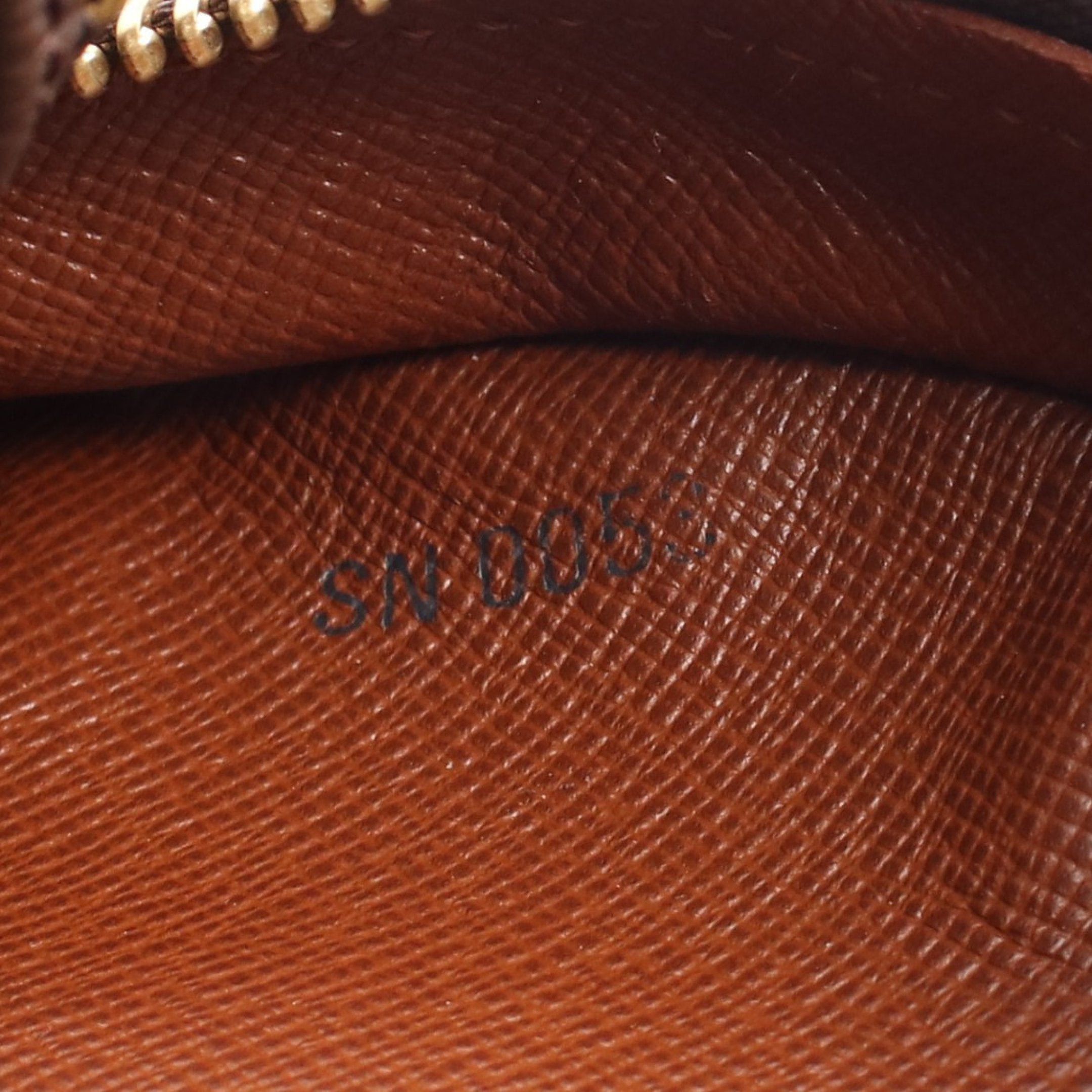 Louis Vuitton Louis Vuitton Blower Monogram Shoulder Bag Leather Brown Size ONE SIZE - 5 Thumbnail