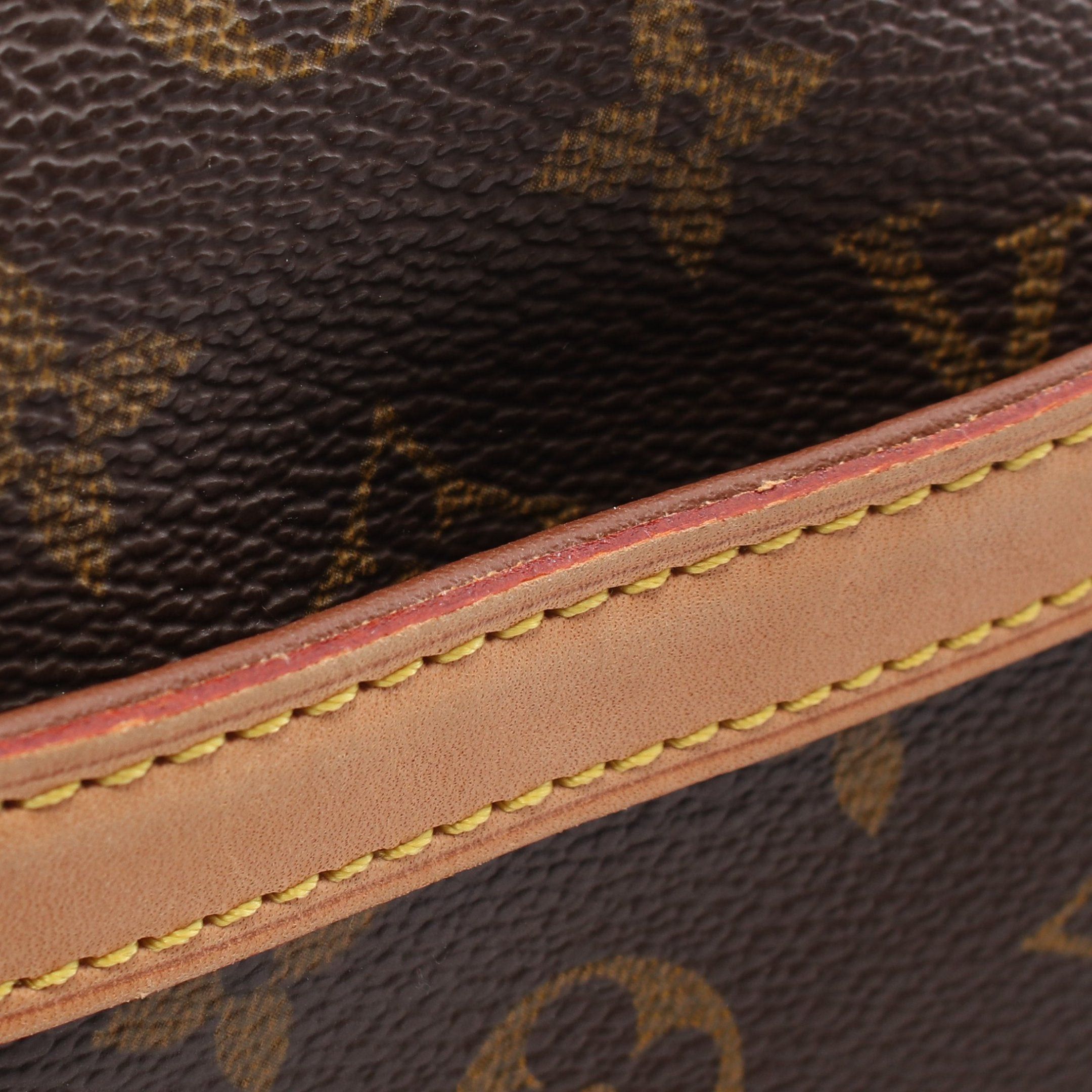 Louis Vuitton Louis Vuitton Blower Monogram Shoulder Bag Leather Brown Size ONE SIZE - 6 Thumbnail