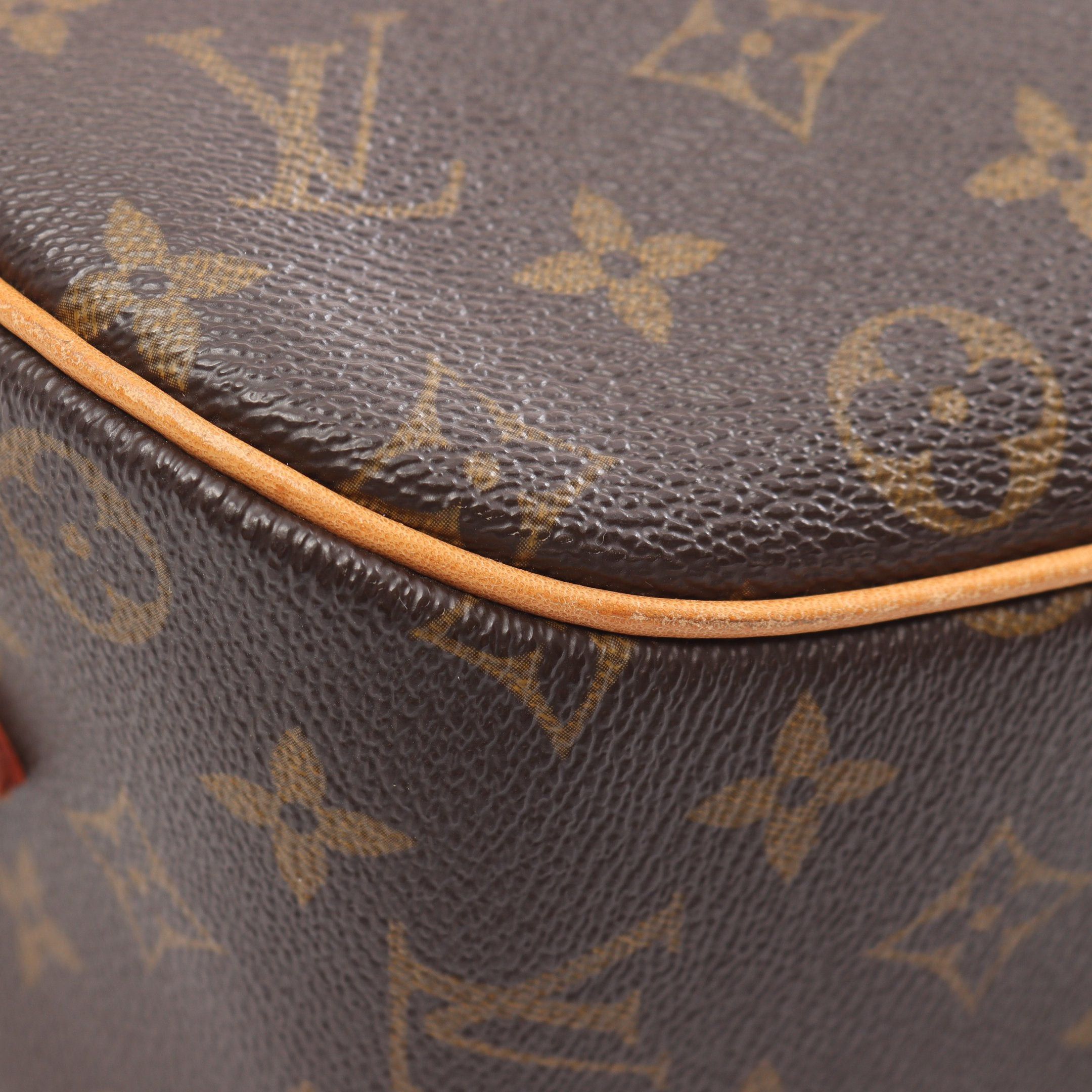 Louis Vuitton Louis Vuitton Blower Monogram Shoulder Bag Leather Brown Size ONE SIZE - 6 Thumbnail