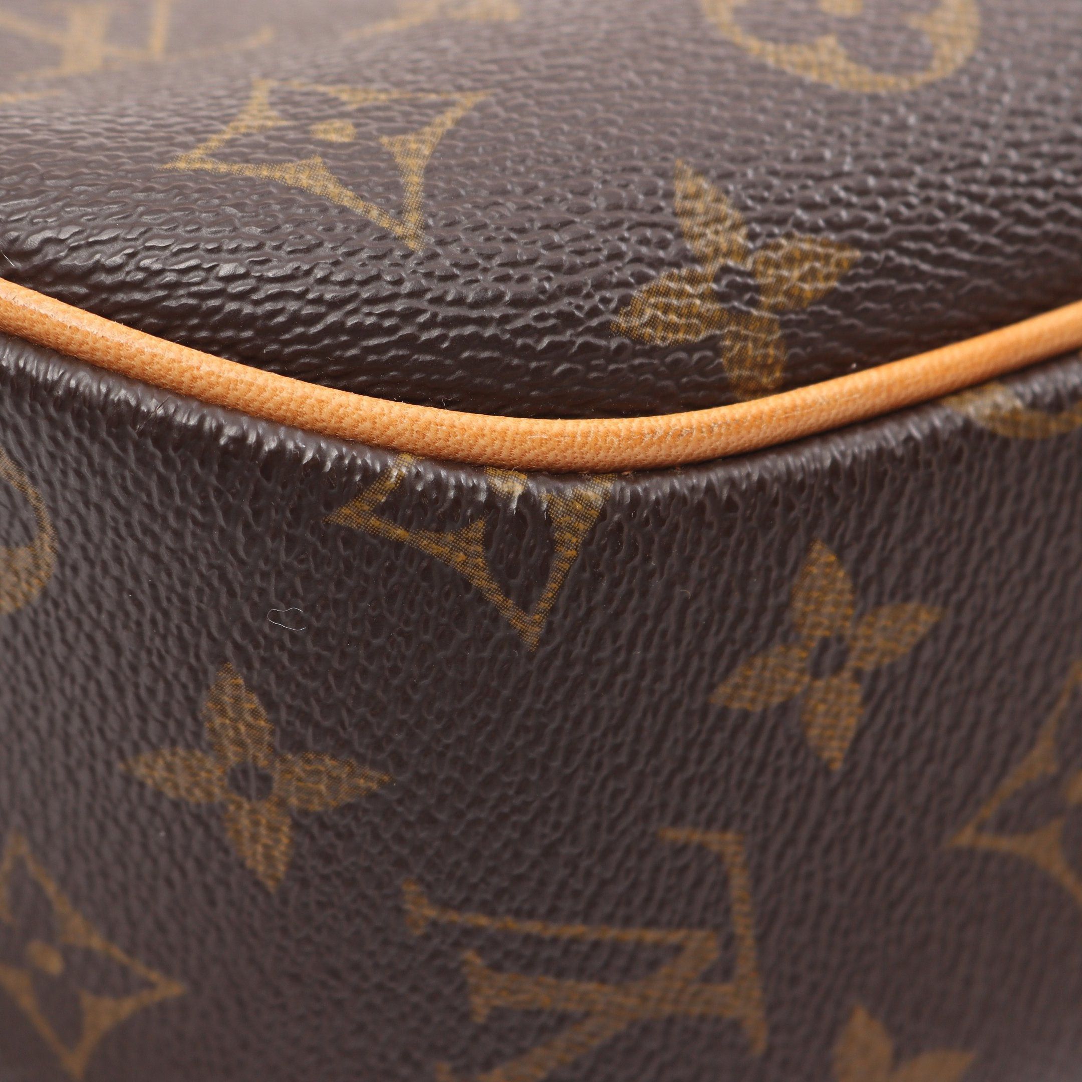 Louis Vuitton Louis Vuitton Blower Monogram Shoulder Bag Leather Brown Size ONE SIZE - 7 Thumbnail