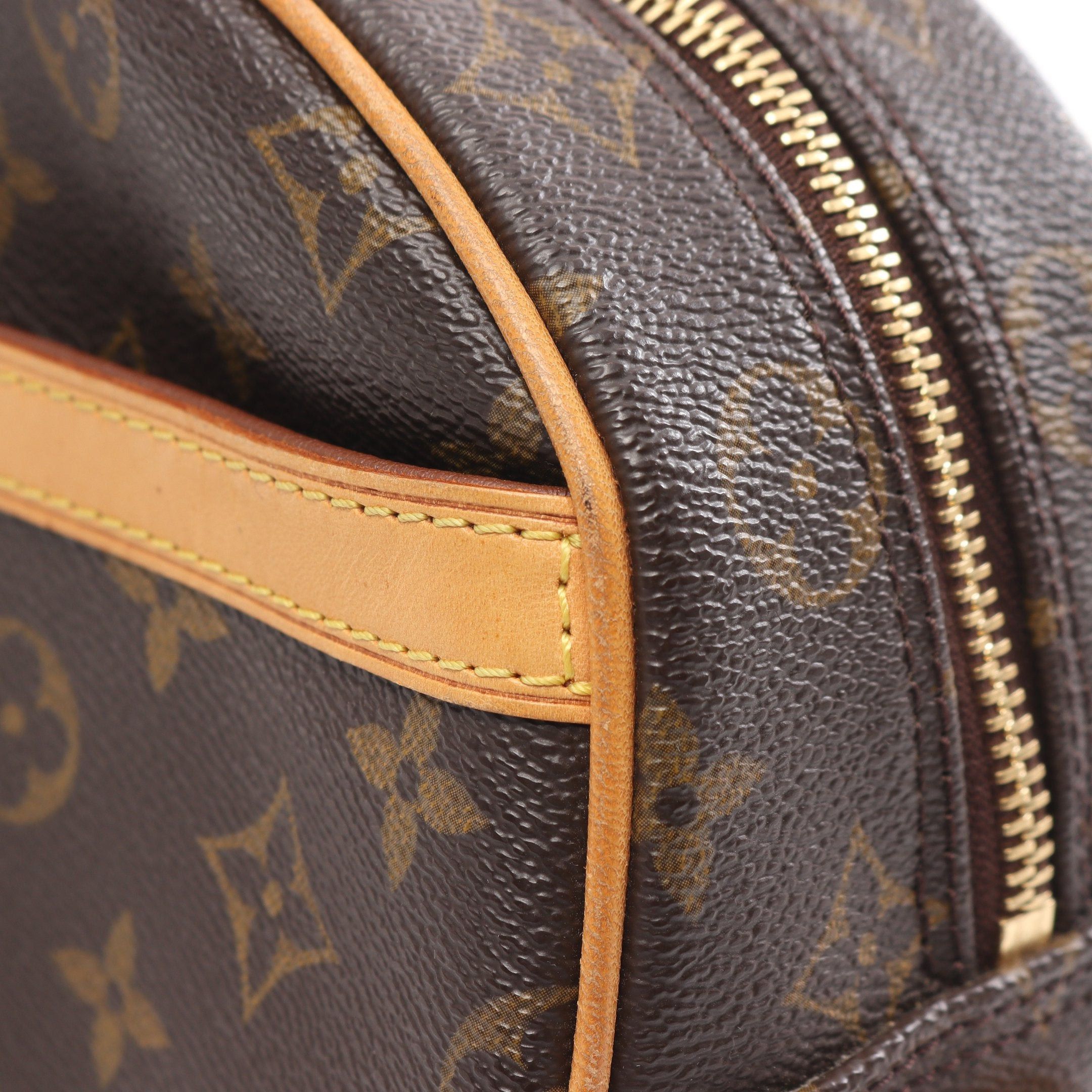 Louis Vuitton Louis Vuitton Blower Monogram Shoulder Bag Leather Brown Size ONE SIZE - 8 Thumbnail