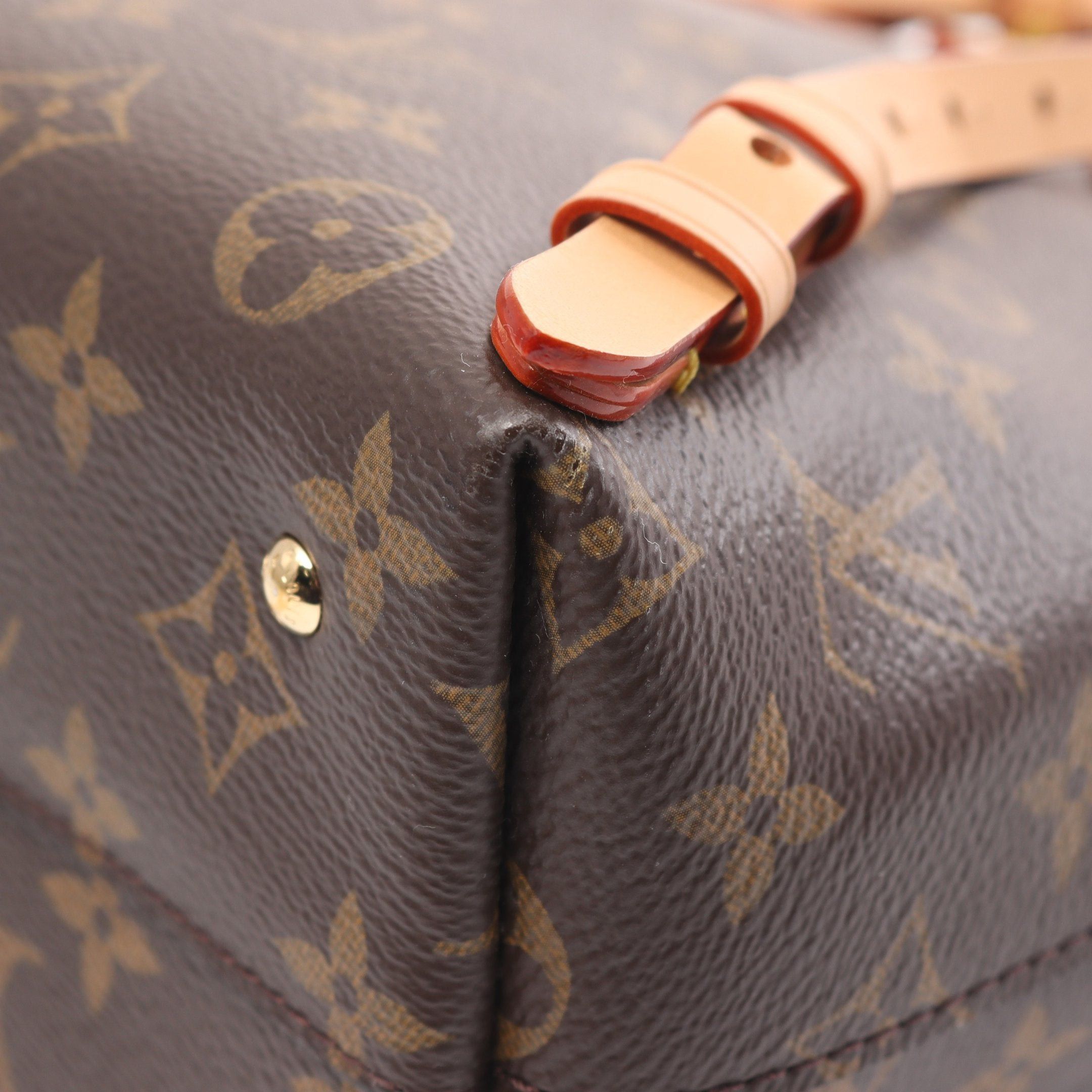 Louis Vuitton Louis Vuitton Moon Backpack Monogram Rucksack Leather Brown Size ONE SIZE - 7 Thumbnail