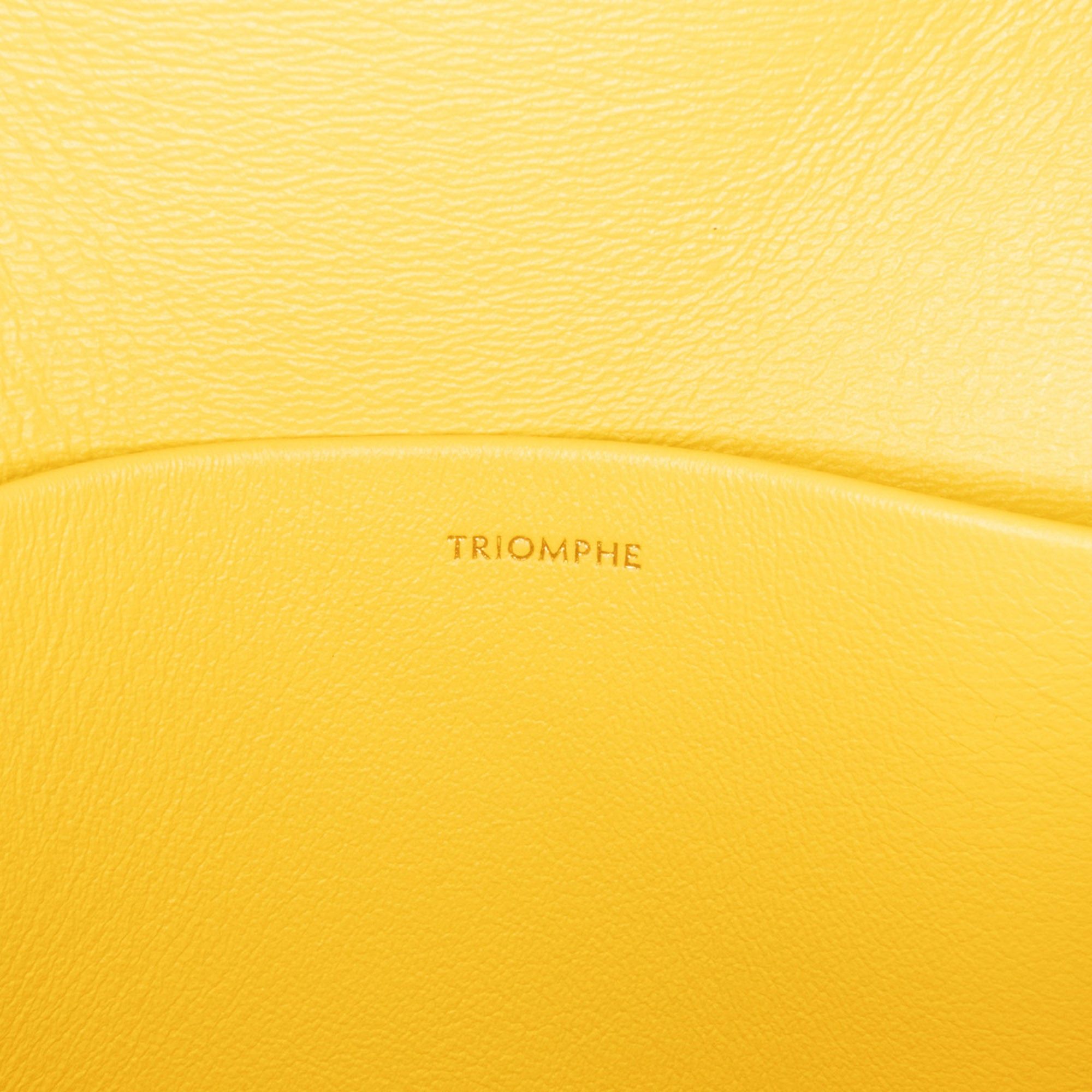 Celine Celine Teen Shiny Calfskin Triomphe Crossbody Yellow Size ONE SIZE - 7 Thumbnail