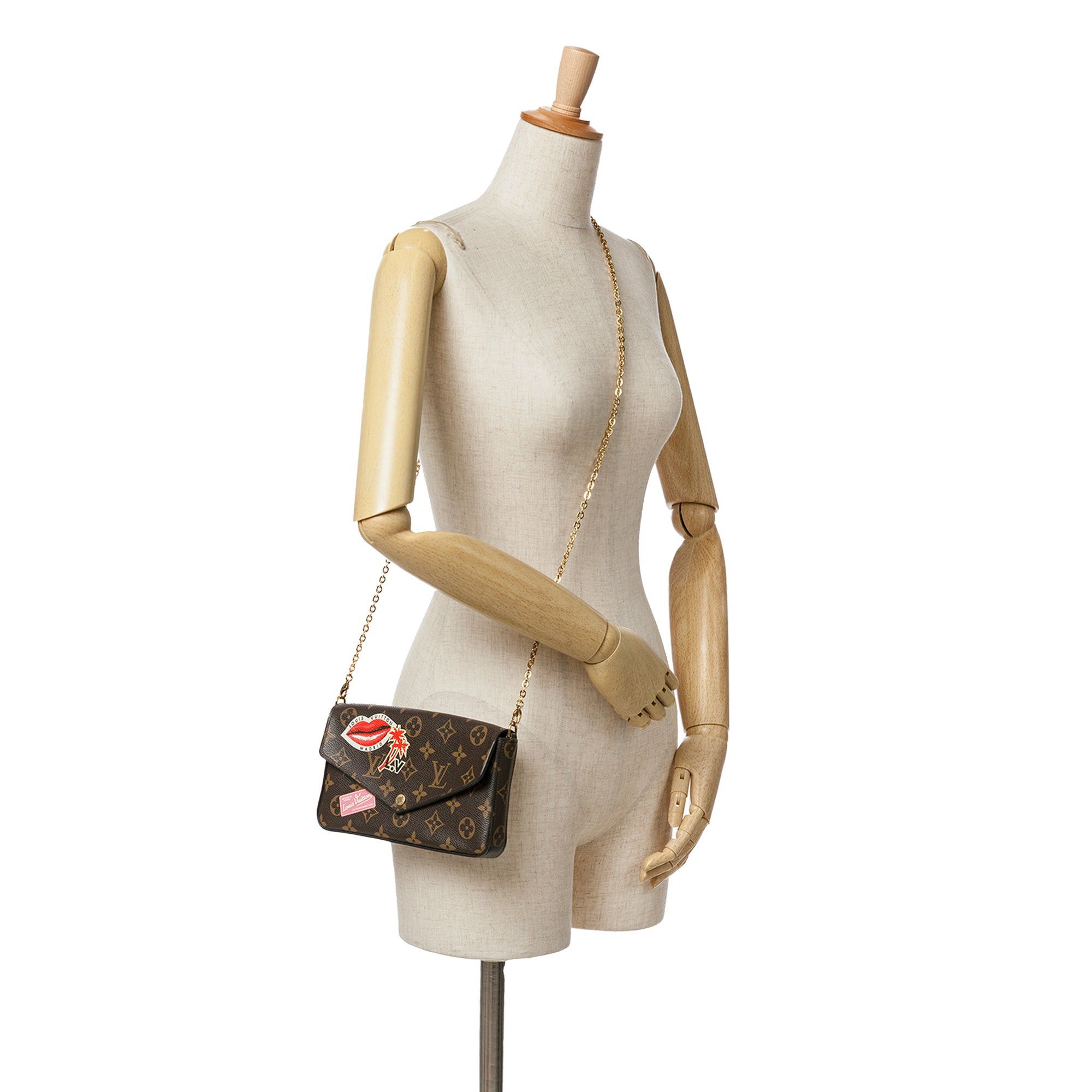 Louis Vuitton Louis Vuitton Monogram World Tour Pochette Felicie Brown Size ONE SIZE - 8 Thumbnail