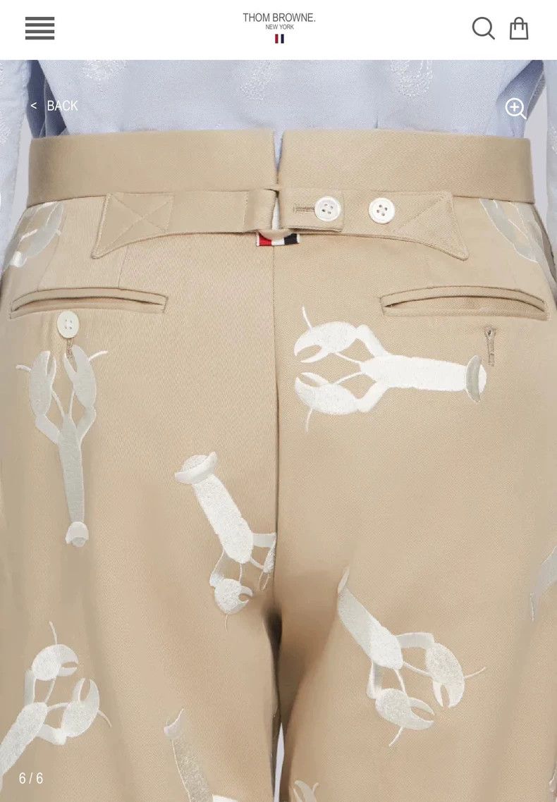 Thom Browne Rare Thom Browne Khaki Embroidered Casual Pants-dmc Size US 30 / EU 46 - 9 Thumbnail