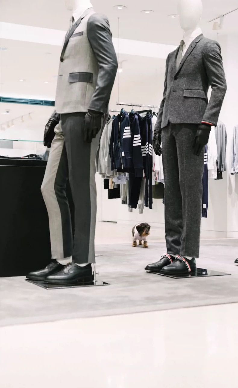 Thom Browne Thom Browne Color-Block Wool Trousers-dmc Size US 30 / EU 46 - 7 Thumbnail