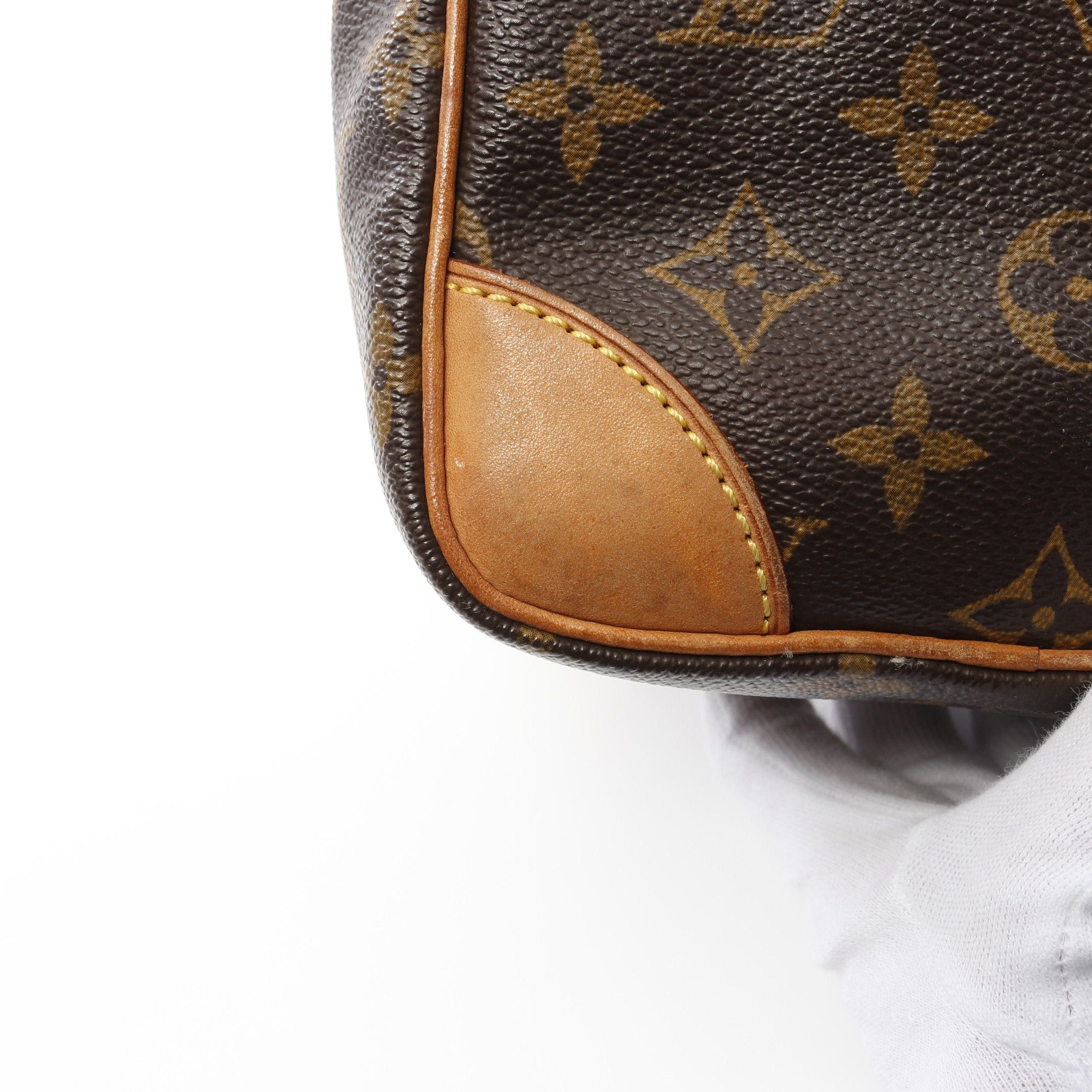 Louis Vuitton Louis Vuitton Amazon Monogram Shoulder Bag Leather Brown Size ONE SIZE - 9 Thumbnail
