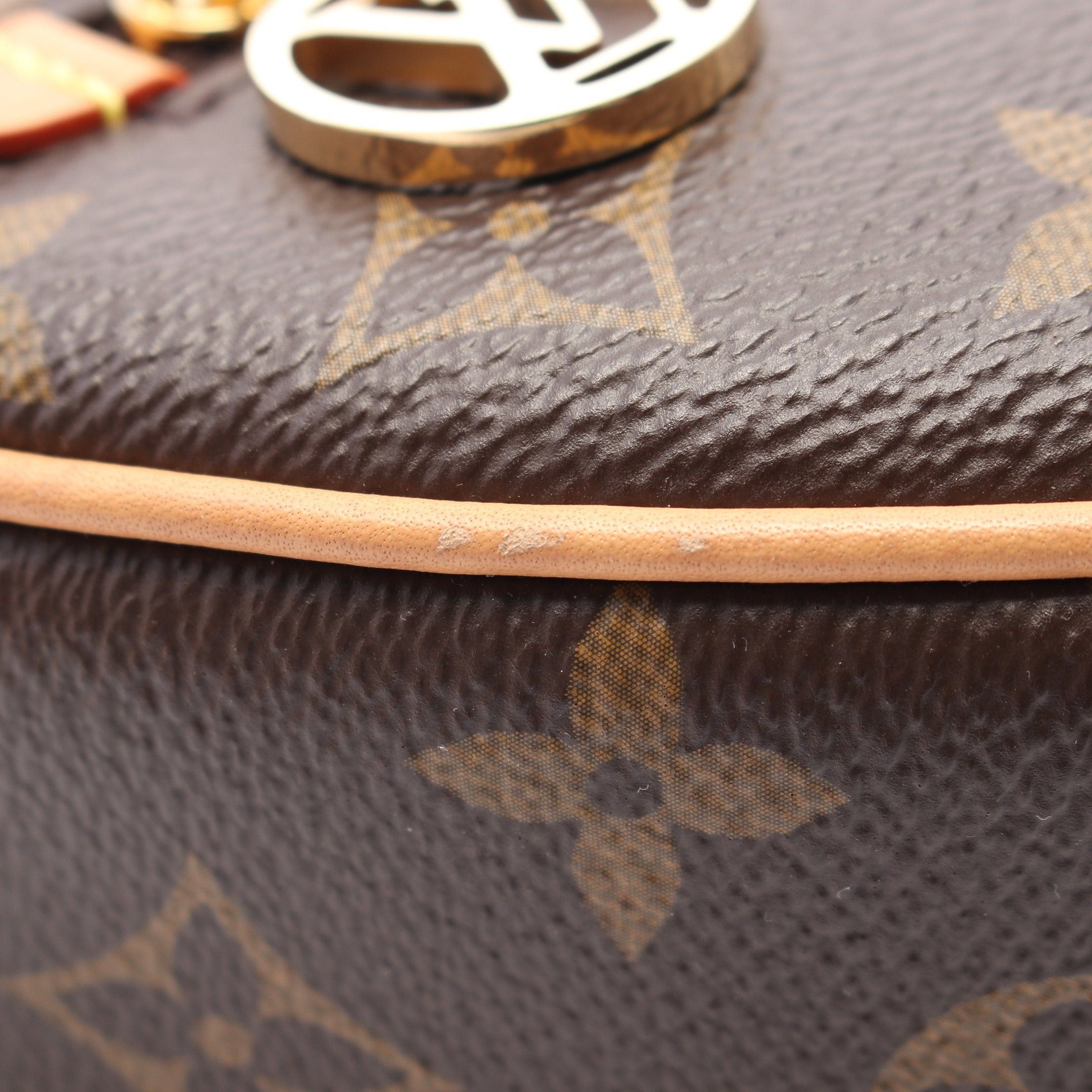 Louis Vuitton Louis Vuitton Loop Monogram Shoulder Bag Leather Brown Size ONE SIZE - 5 Thumbnail