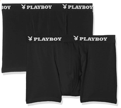 Playboy By PacSun Club Brief Panty