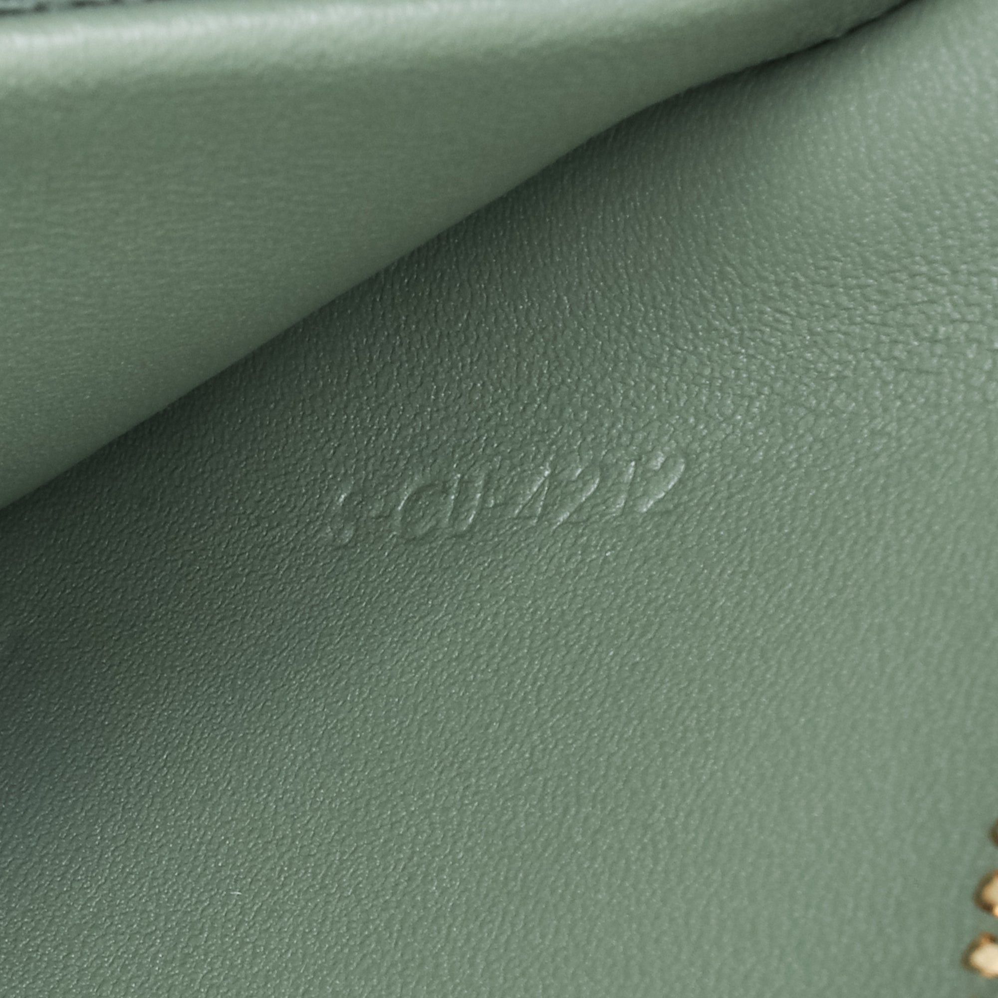 Celine Celine Shiny Calfskin Triomphe Besace Clea Chain Crossbody Green Size ONE SIZE - 5 Thumbnail