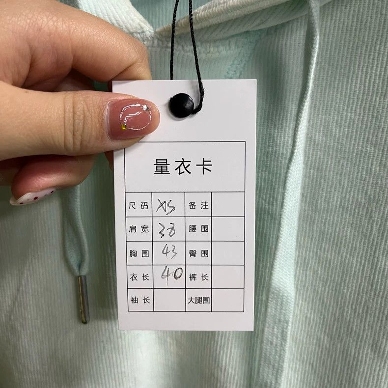 Alexander Wang Alexander Wang Cropped Hoodie with Logo Size US XS / EU 42 / 0 - 3 Thumbnail