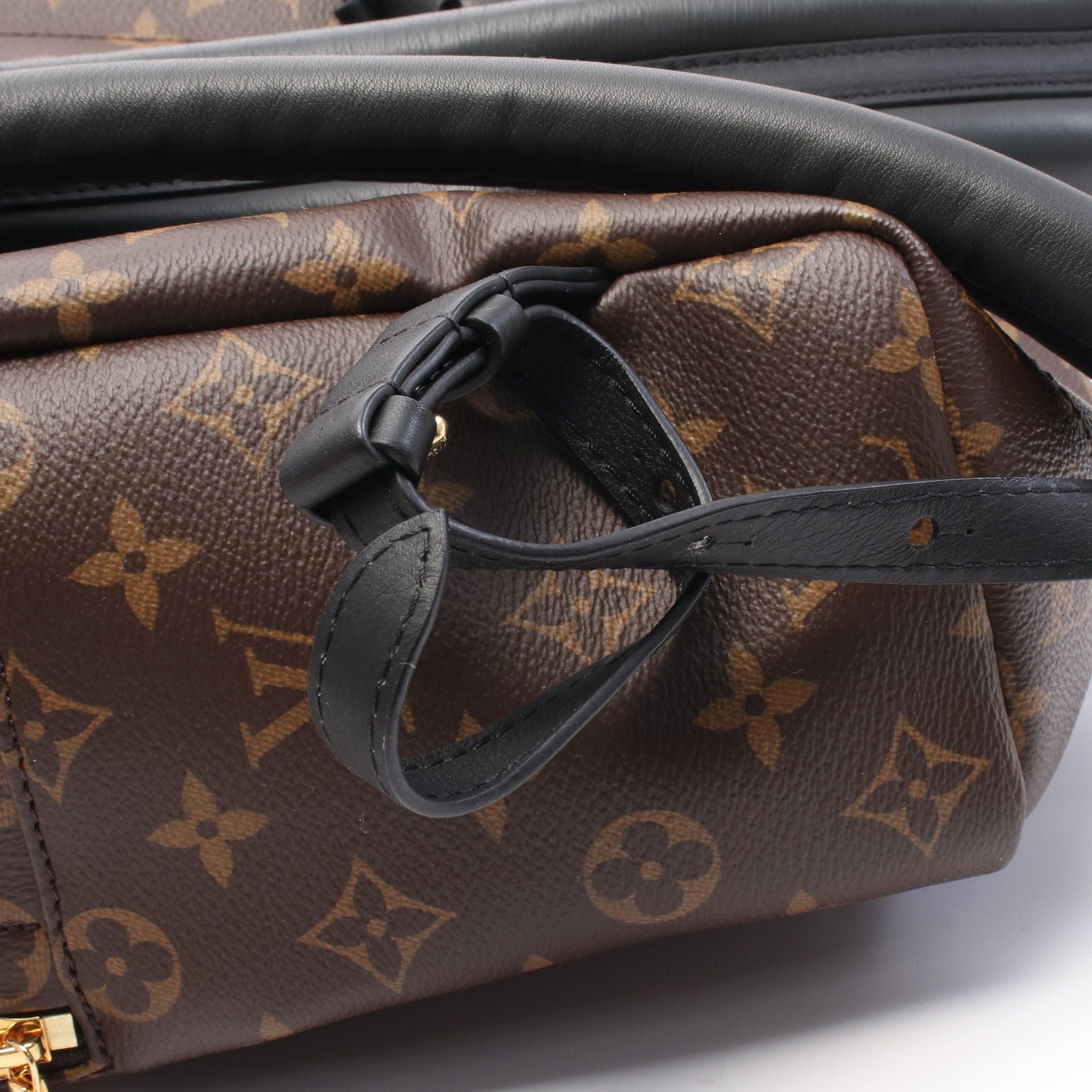 Louis Vuitton Louis Vuitton Palm Springs Backpack Mm Monogram Rucksack Leather Brown Black Size ONE SIZE - 7 Thumbnail