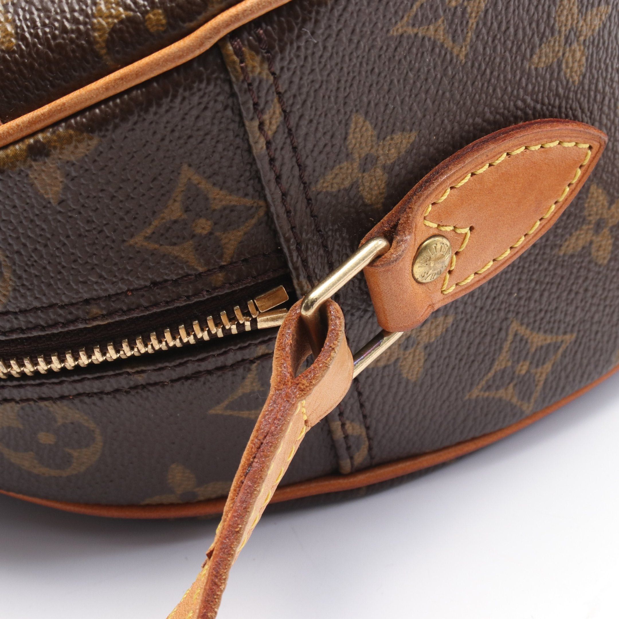 Louis Vuitton Louis Vuitton Blower Monogram Shoulder Bag Leather Brown Size ONE SIZE - 9 Thumbnail
