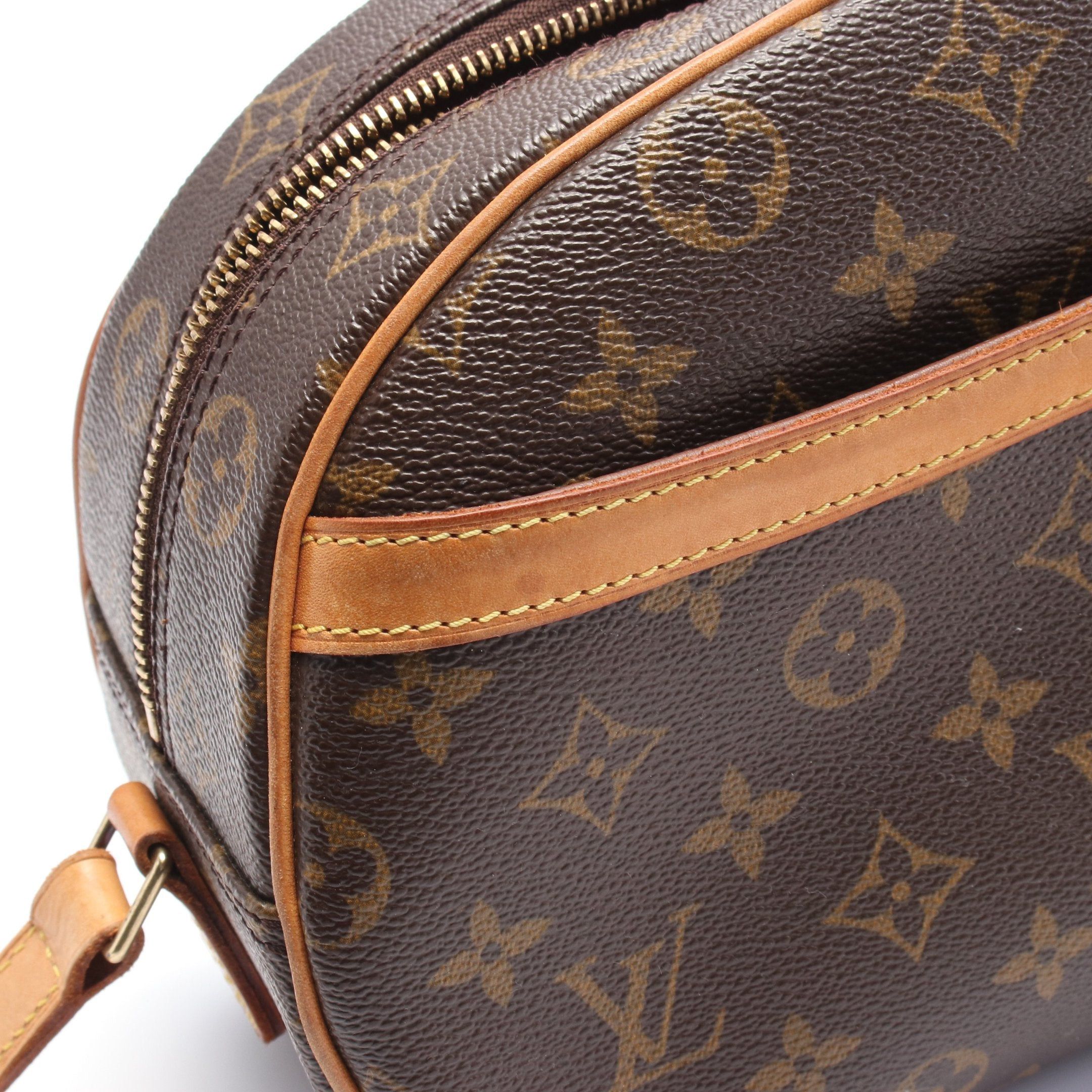 Louis Vuitton Louis Vuitton Blower Monogram Shoulder Bag Leather Brown Size ONE SIZE - 11 Thumbnail