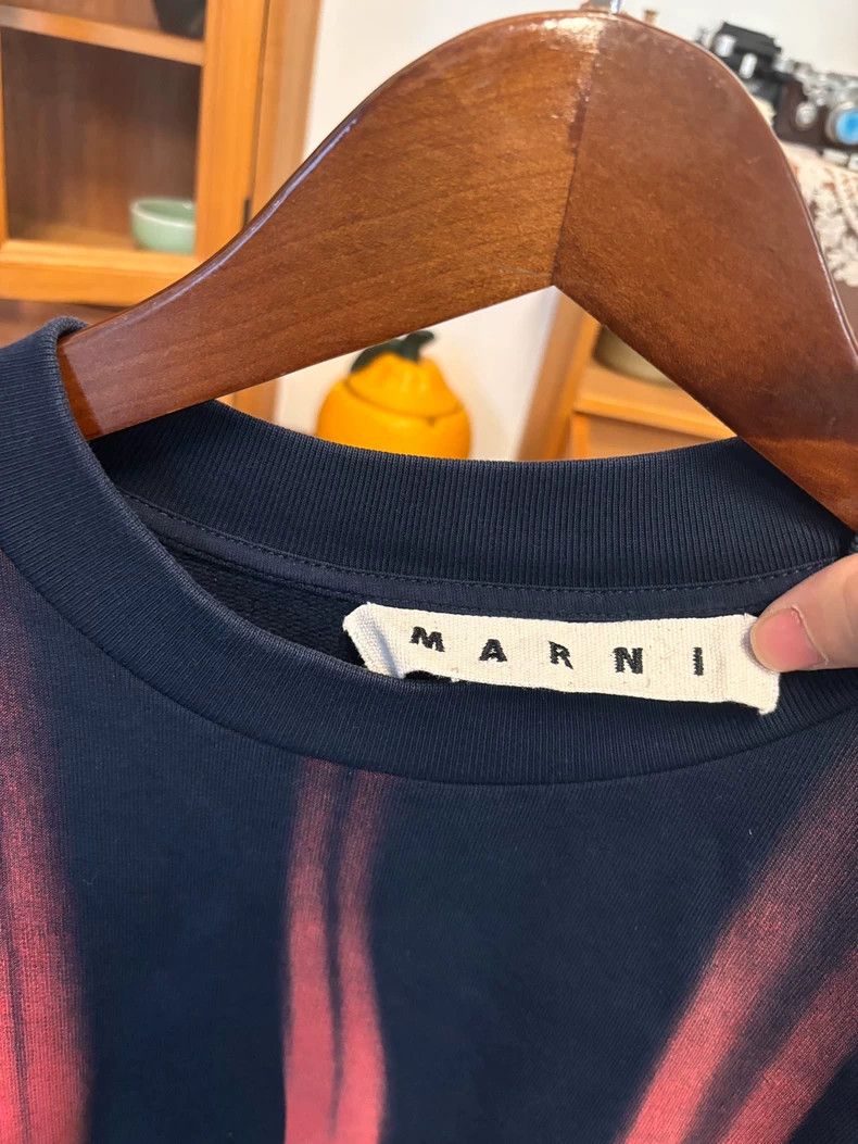 Marni Sweatshirt Size 46 Blue and Pink