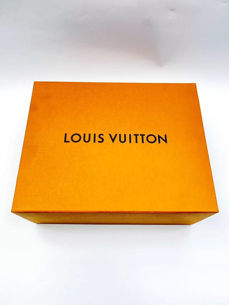 Louis Vuitton Louis Vuitton Archlight Dad Shoes Size 39-yf Size US 7.5 / EU 40-41 - 7 Thumbnail