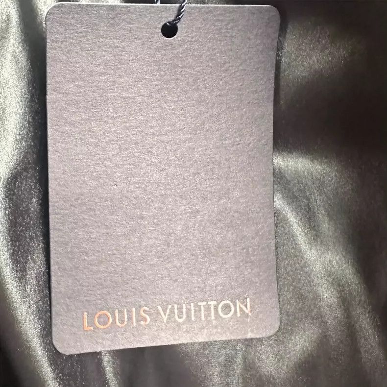 Louis Vuitton Louis Vuitton Stand Collar Down Jacket New-yf Size US M / EU 48-50 / 2 - 3 Thumbnail