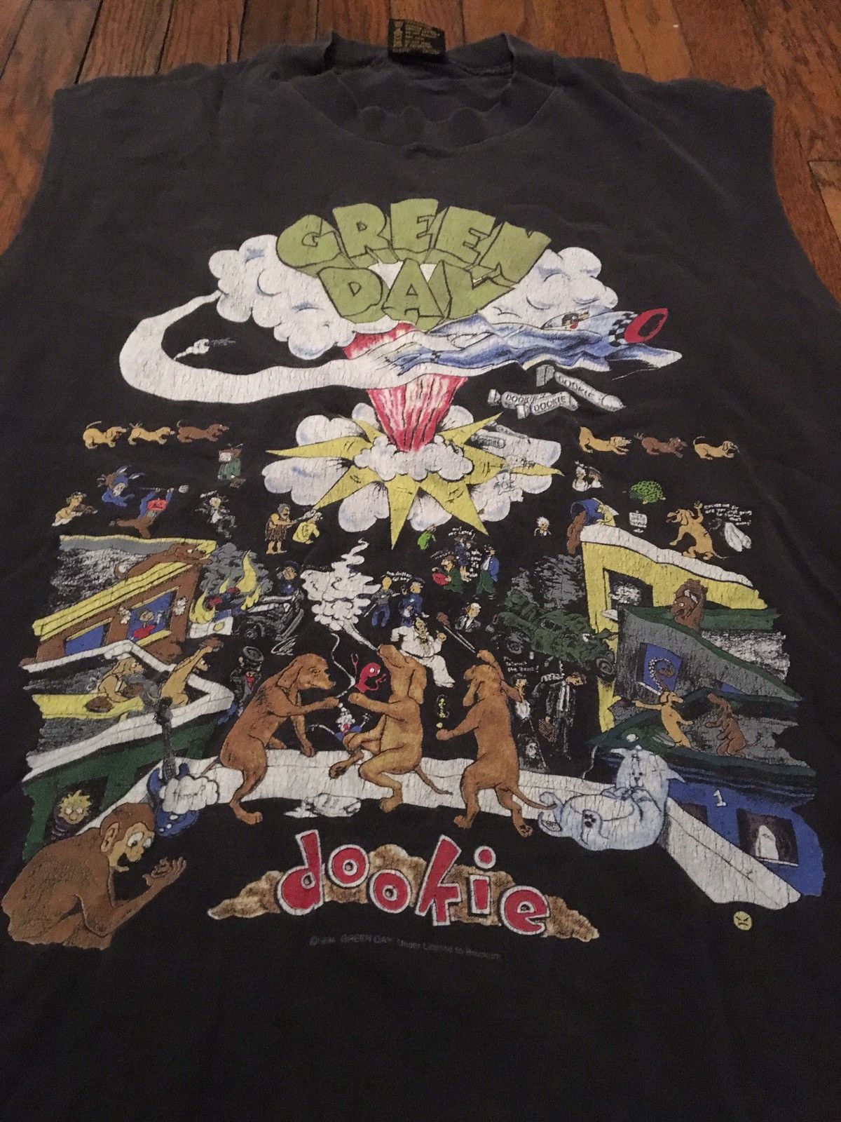 Green Day 1994 Dookie Tour T Shirt