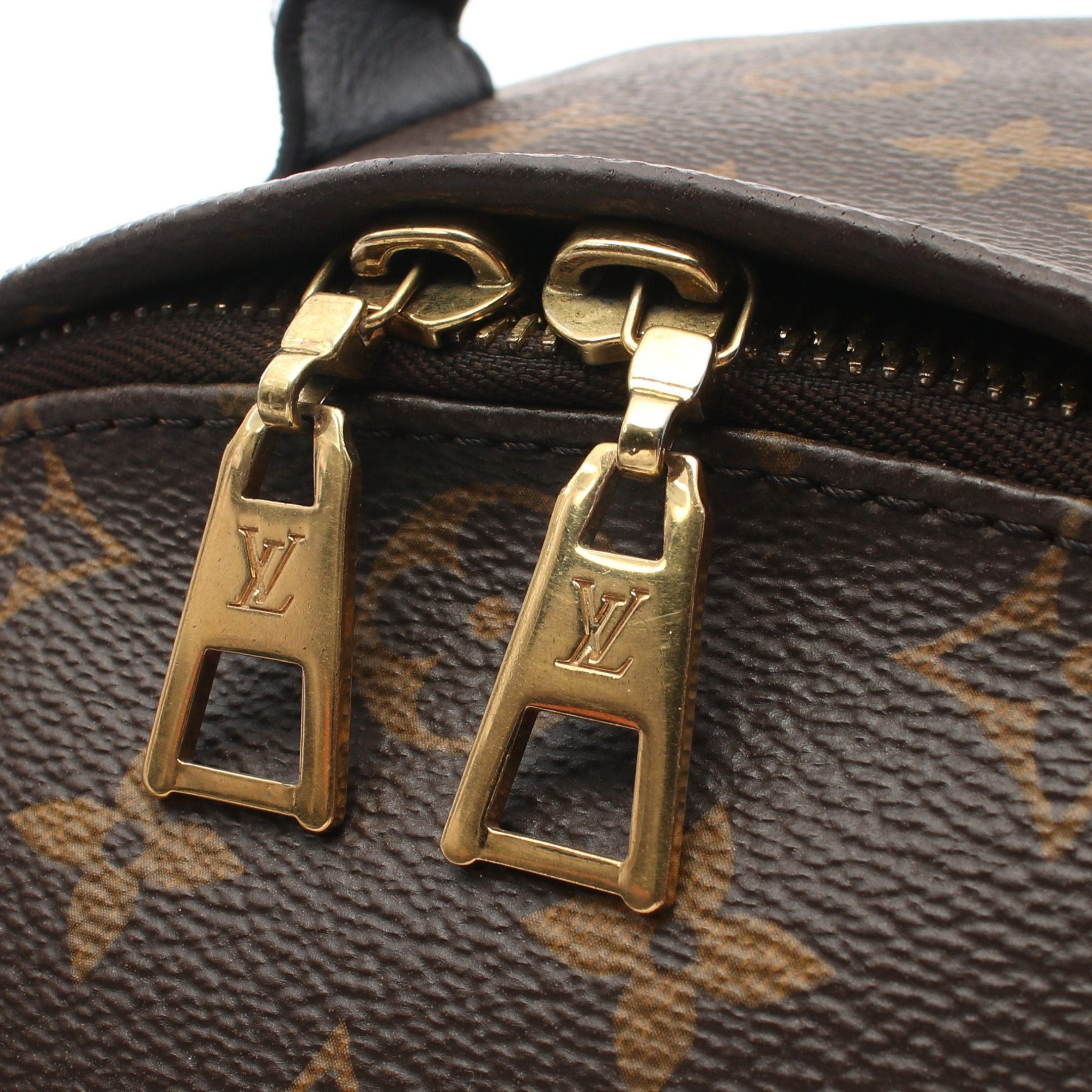 Louis Vuitton Louis Vuitton Palm Springs Backpack Mm Monogram Rucksack Leather Brown Size ONE SIZE - 13 Thumbnail