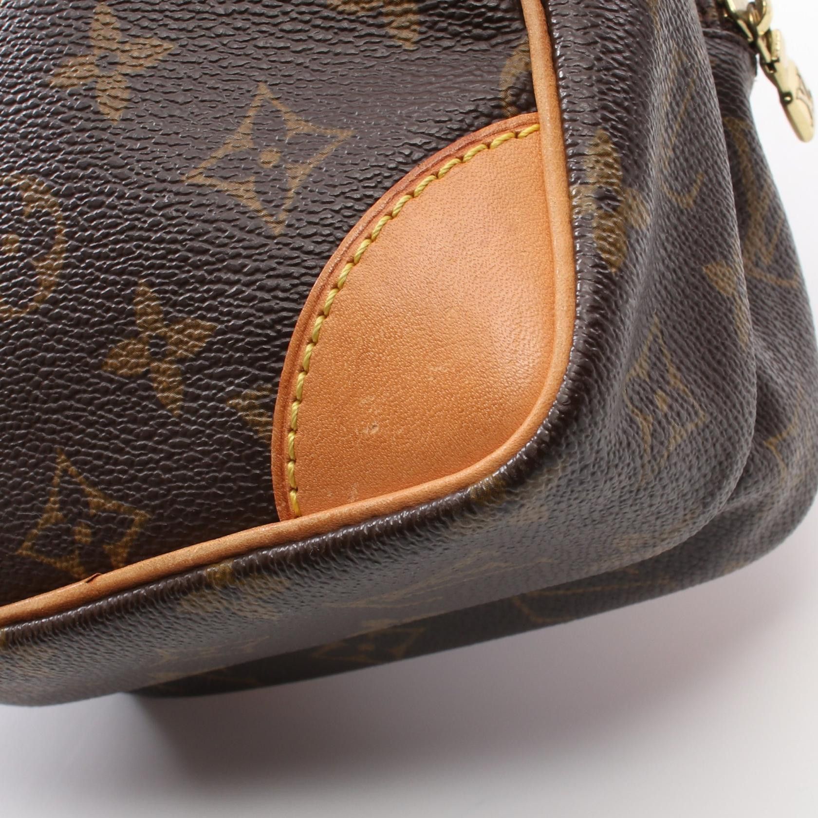 Louis Vuitton Louis Vuitton Amazon Monogram Shoulder Bag Leather Brown Size ONE SIZE - 9 Thumbnail
