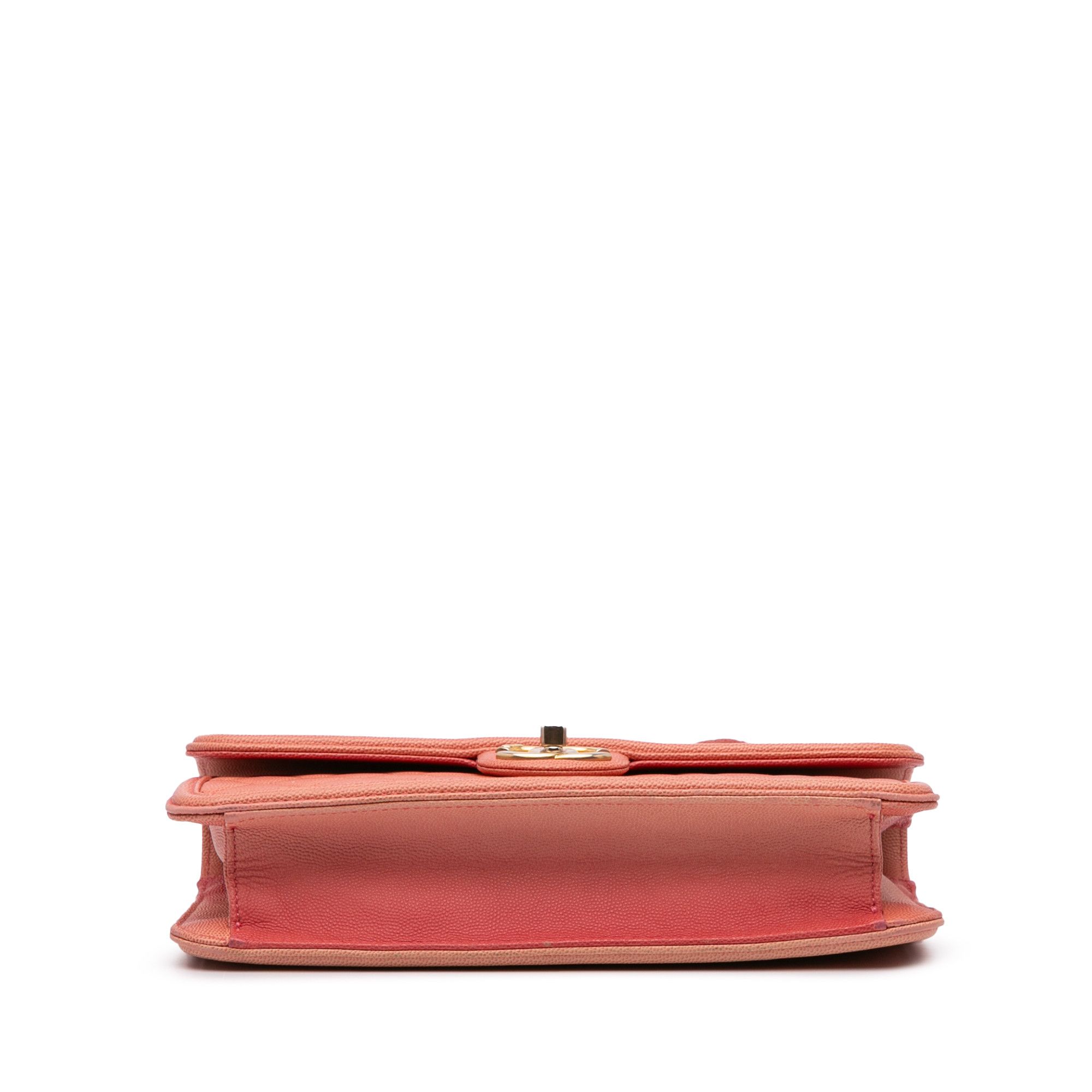 Chanel Chanel Medium Quilted Caviar Sunset On The Sea Flap Size ONE SIZE - 3 Thumbnail