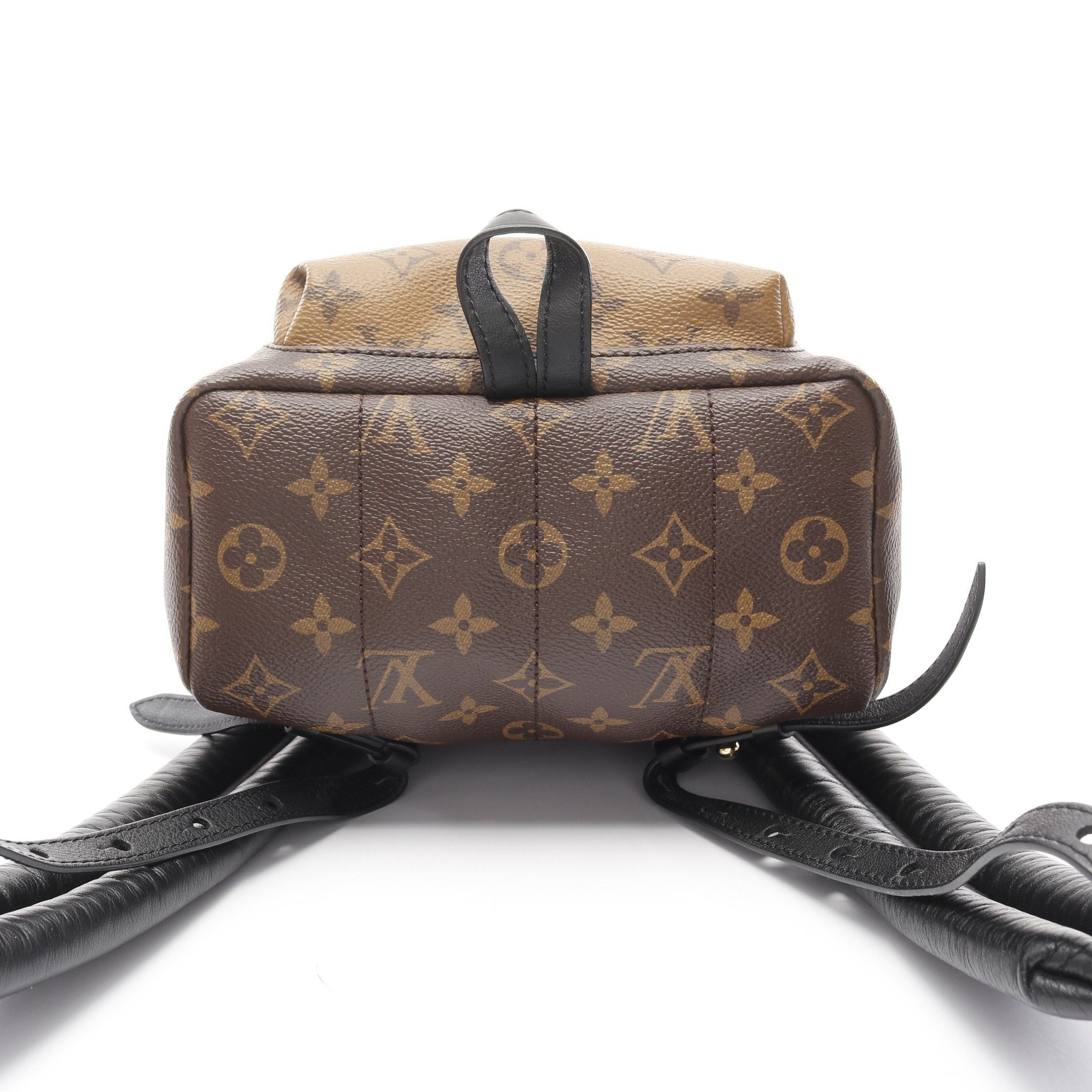 Louis Vuitton Palm Springs Backpack Pm Monogram Reverse Rucksack Leather Brown Beige