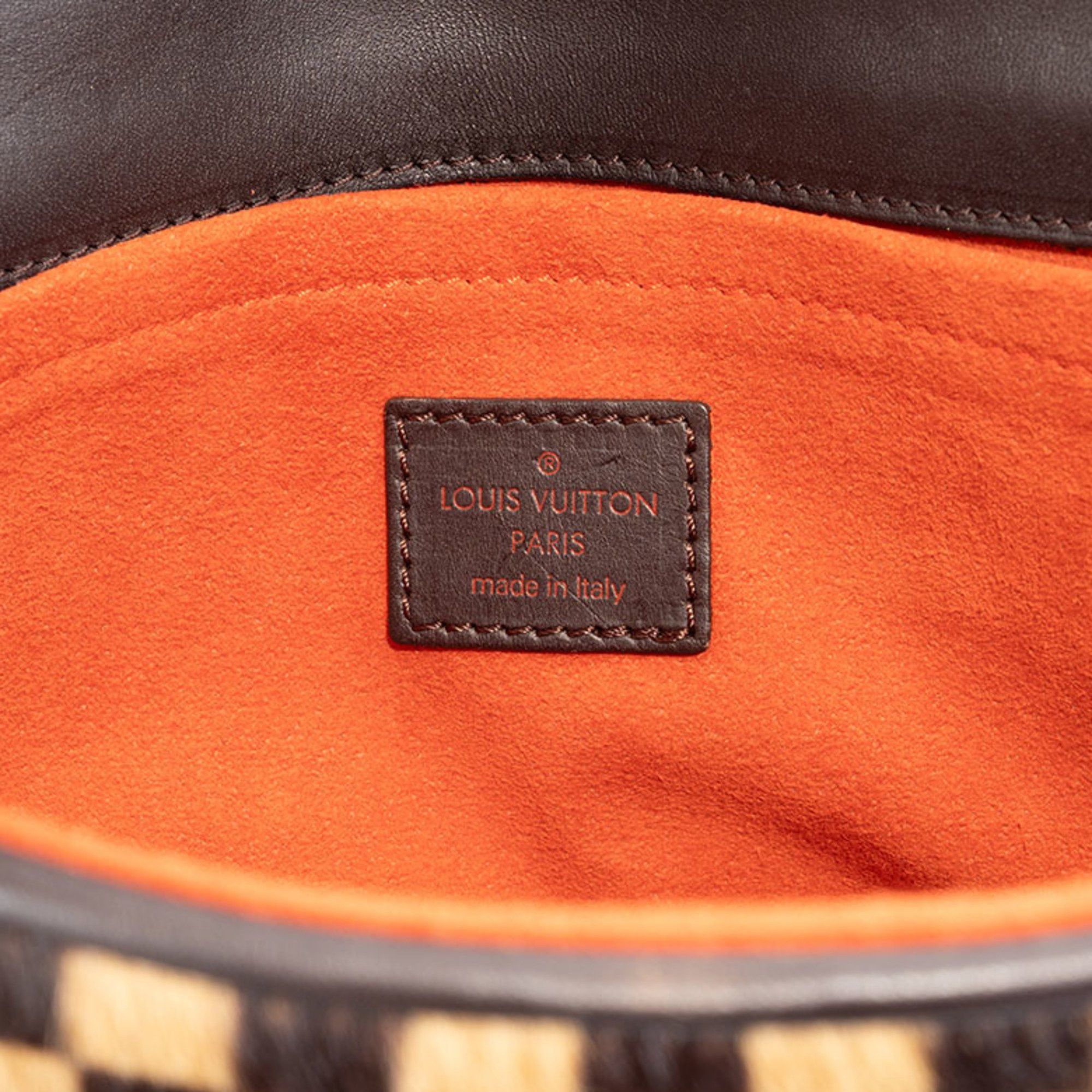Louis Vuitton Louis Vuitton Sauvage Lion handbag Size ONE SIZE - 12 Thumbnail