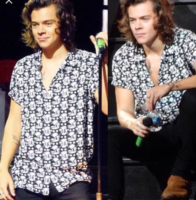 Get The Look: Harry Styles in Marc Jacobs Palm Print Shirt – PAUSE