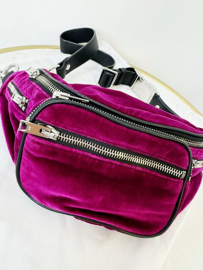 Alexander Wang Alexander Wang Waist Bag - Like New Condition Size ONE SIZE - 2 Thumbnail