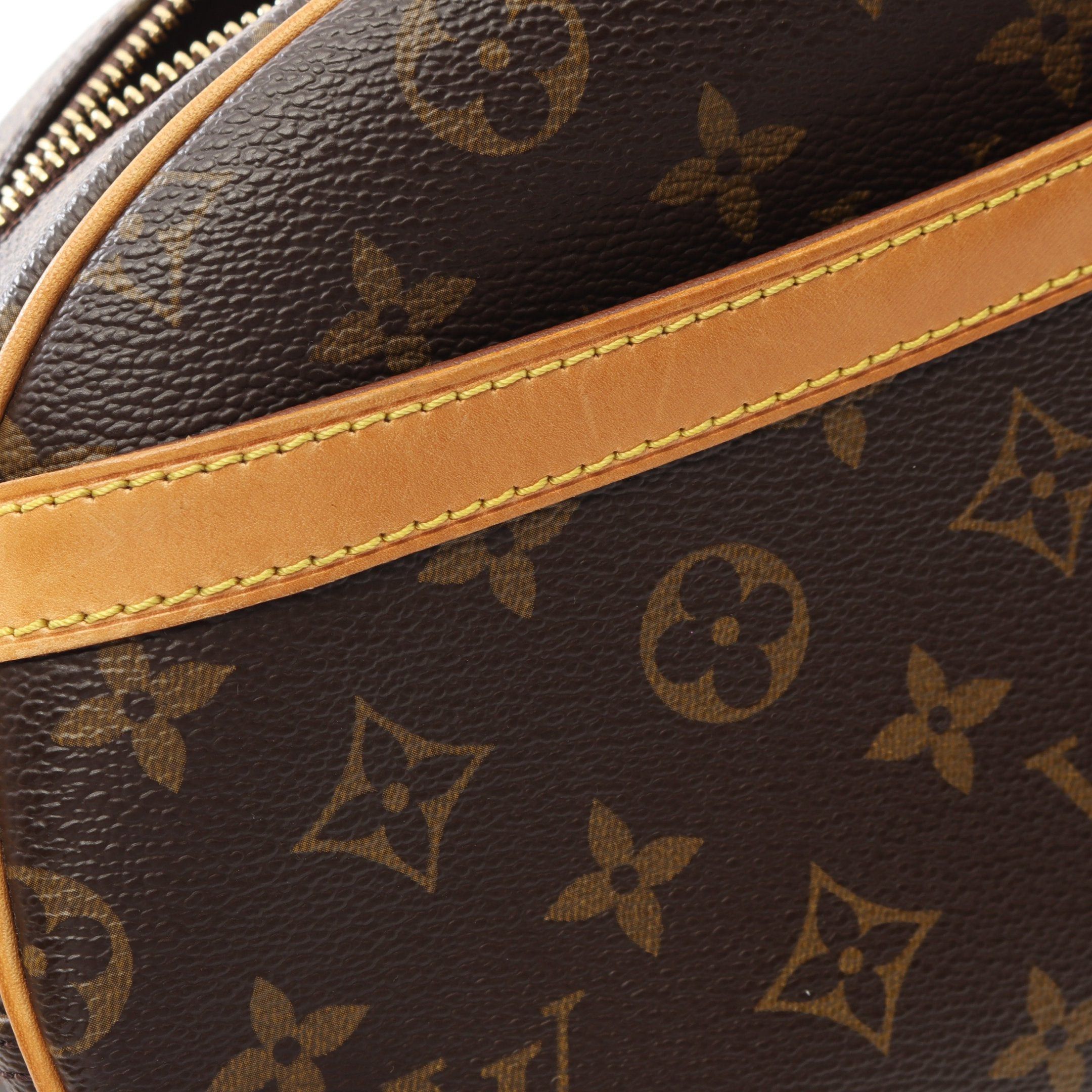 Louis Vuitton Louis Vuitton Blower Monogram Shoulder Bag Leather Brown Size ONE SIZE - 6 Thumbnail