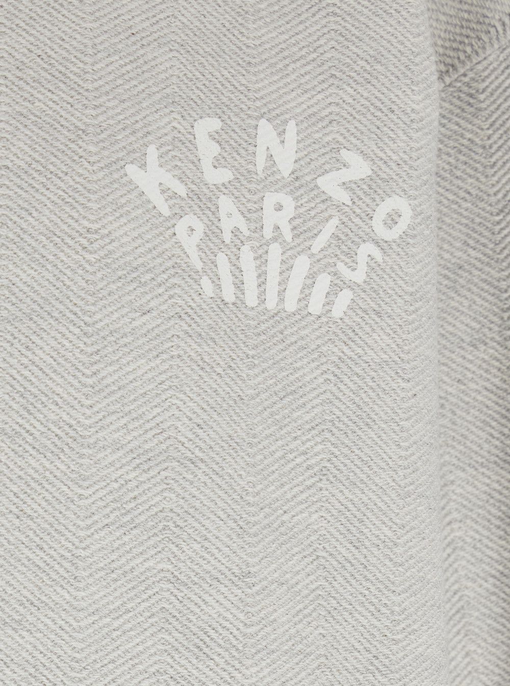 'Dragonfly' Grey Sweatshirt with Logo Lettering on the Front and Maxi Logo on the Rear in Cotton Stretch Man