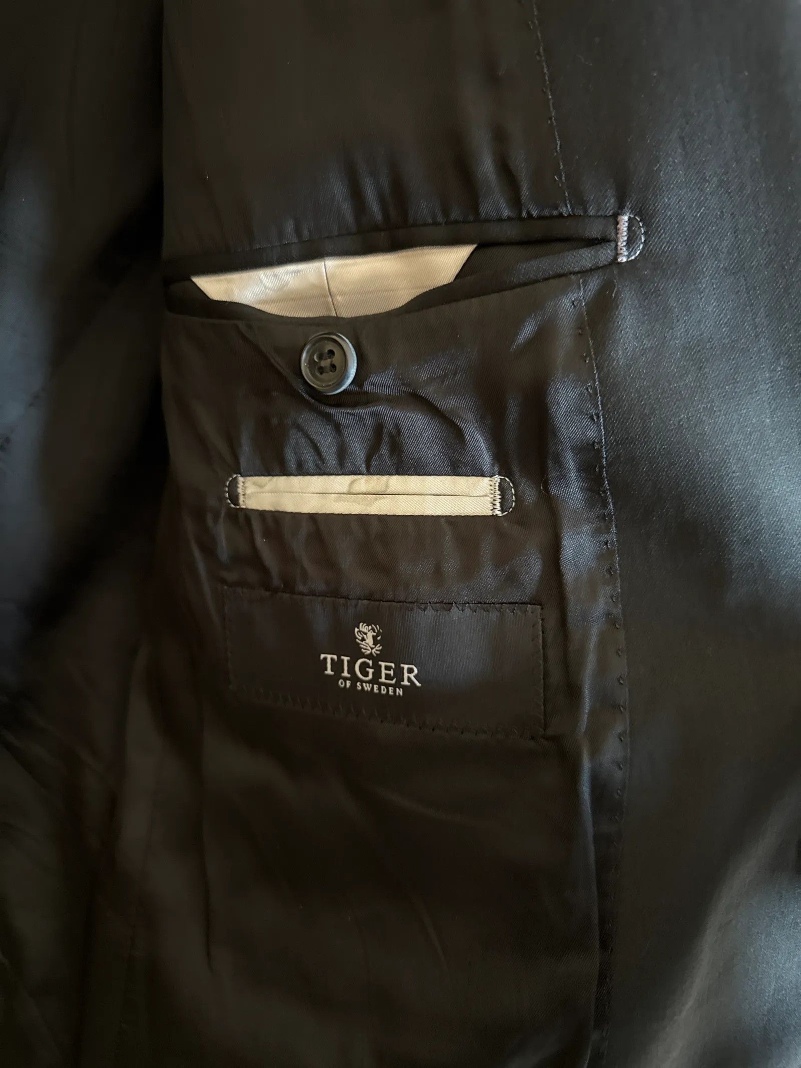 Tiger of Sweden Tiger of Sweden Nedvin Blazer Size 40R - 2 Thumbnail