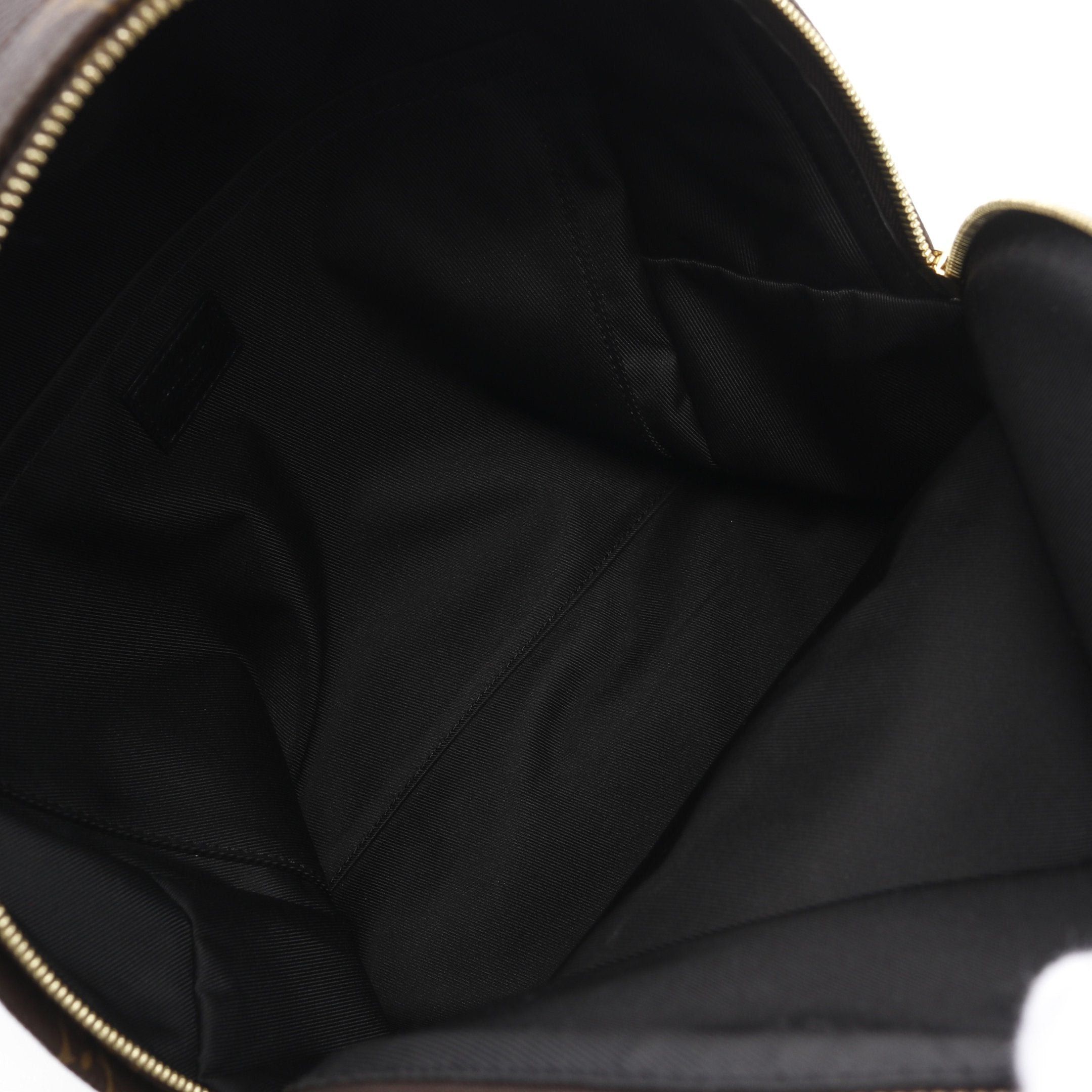 Louis Vuitton Louis Vuitton Palm Springs Backpack Mm Monogram Rucksack Leather Brown Black Size ONE SIZE - 3 Thumbnail