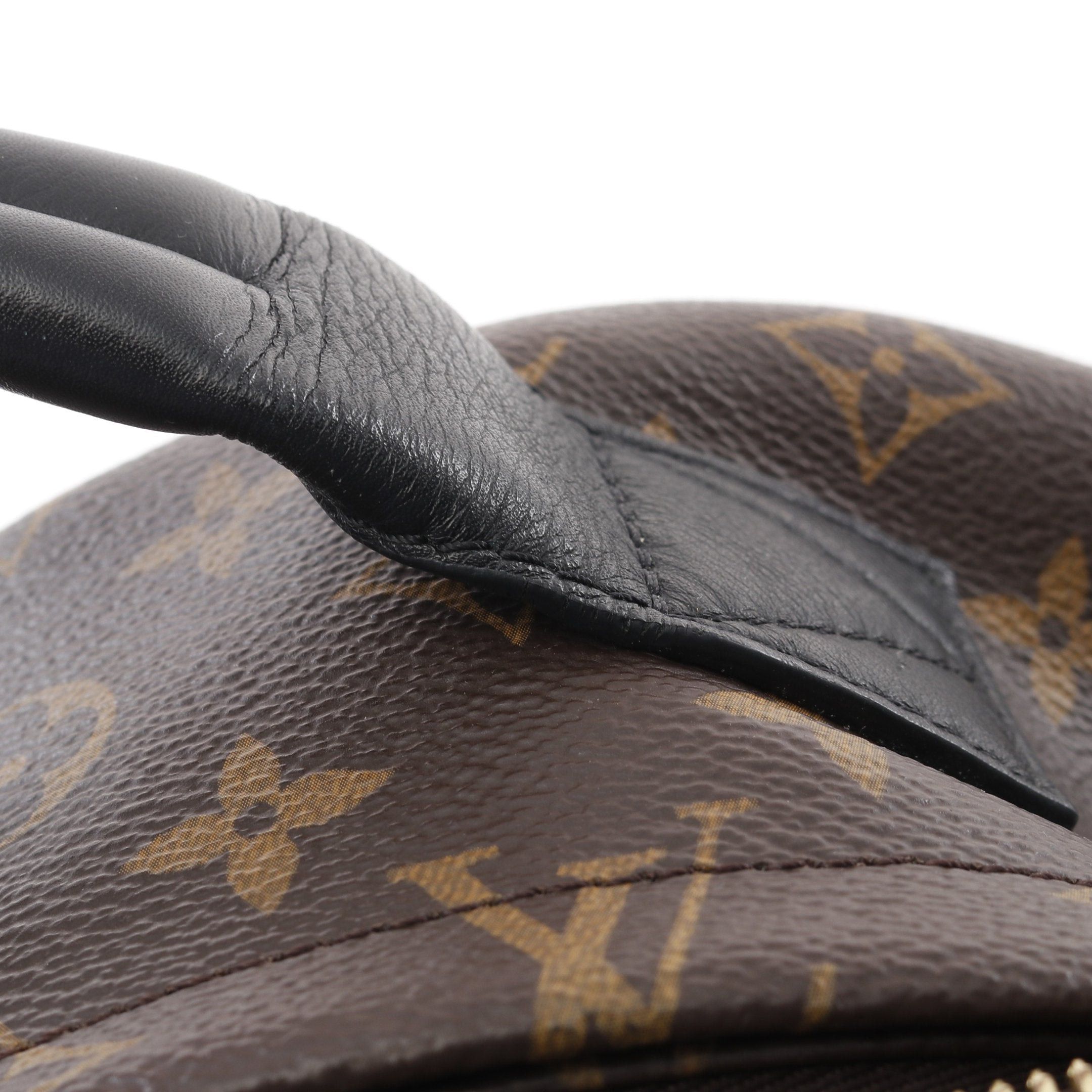 Louis Vuitton Louis Vuitton Palm Springs Backpack Mm Monogram Rucksack Leather Brown Black Size ONE SIZE - 10 Thumbnail
