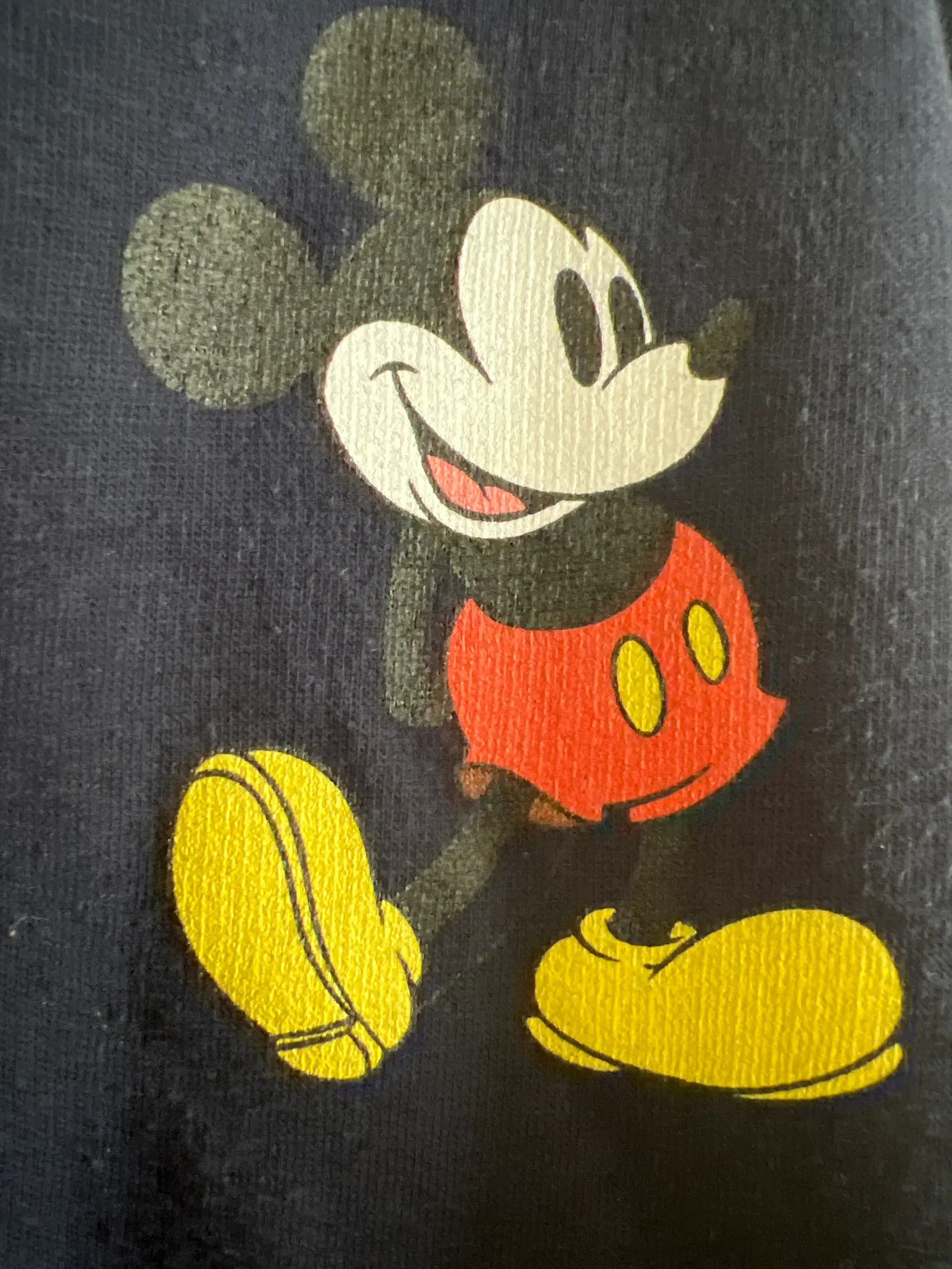 Disney Walt Disney World Hoodie Size XL / US 12-14 / IT 48-50 - 3 Thumbnail