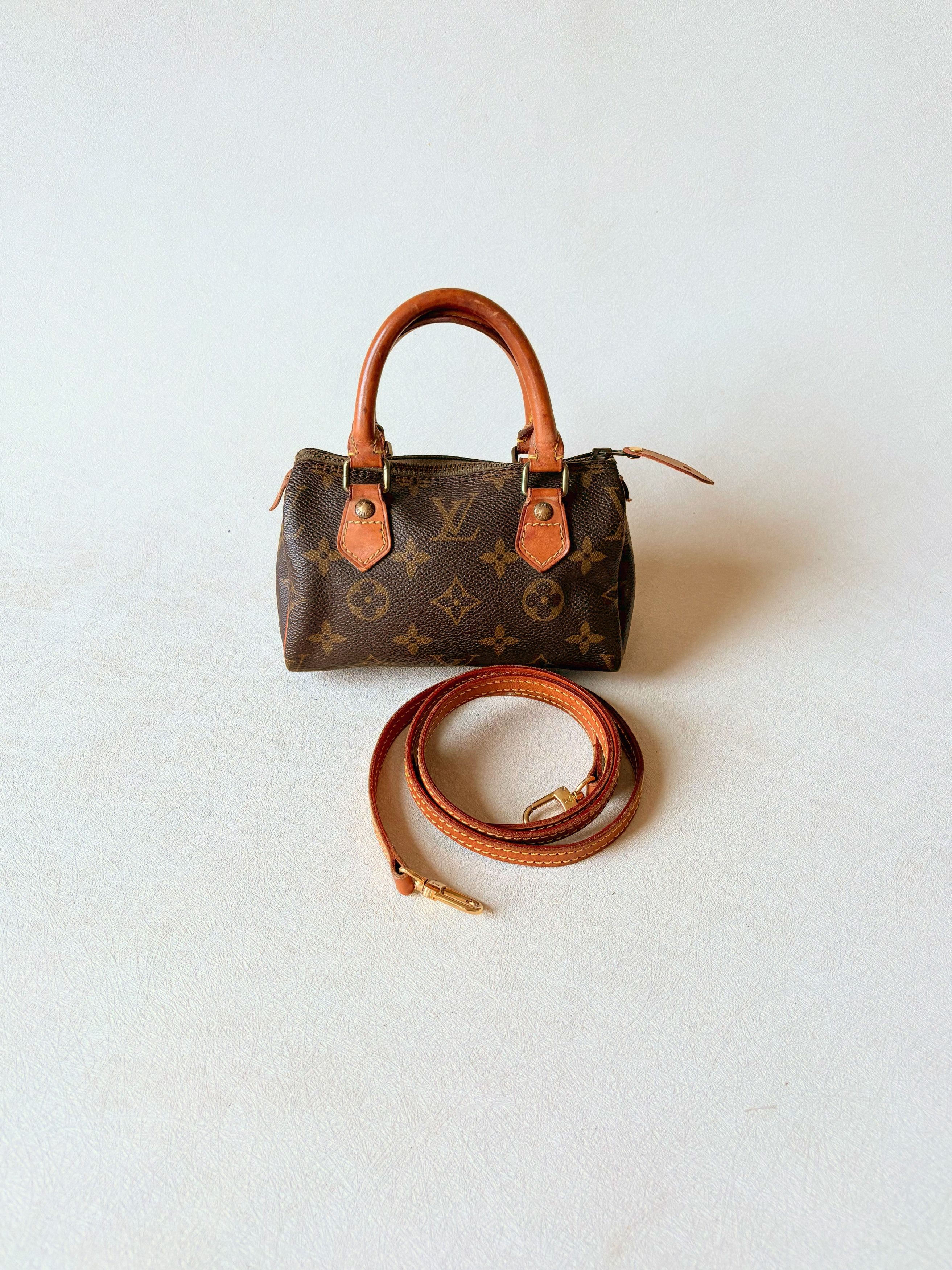 Louis Vuitton x Takashi Murakami Nano Speedy