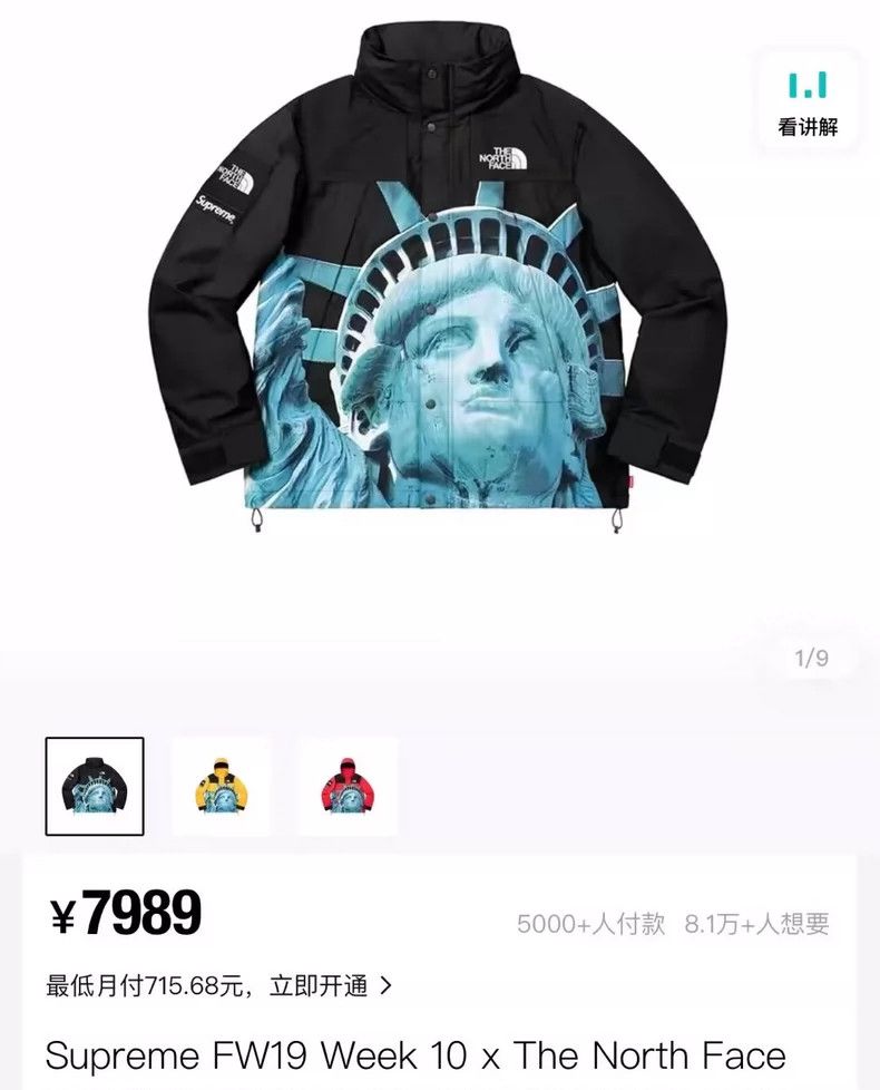 Supreme Supreme The North Face Statue of Liberty Jacket-yf Size US M / EU 48-50 / 2 - 4 Thumbnail