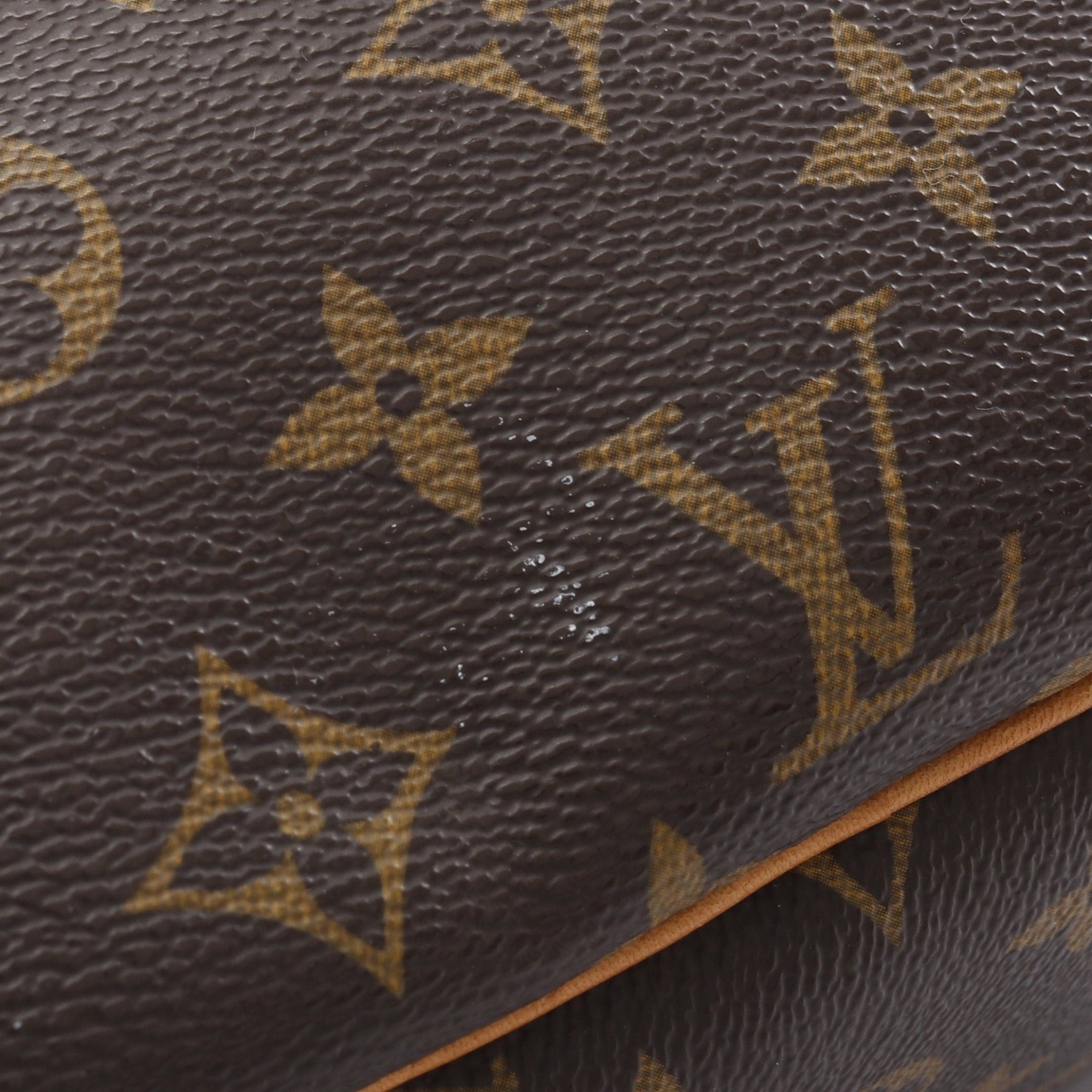Louis Vuitton Louis Vuitton Excursion Monogram Handbag Leather Brown Size ONE SIZE - 10 Thumbnail