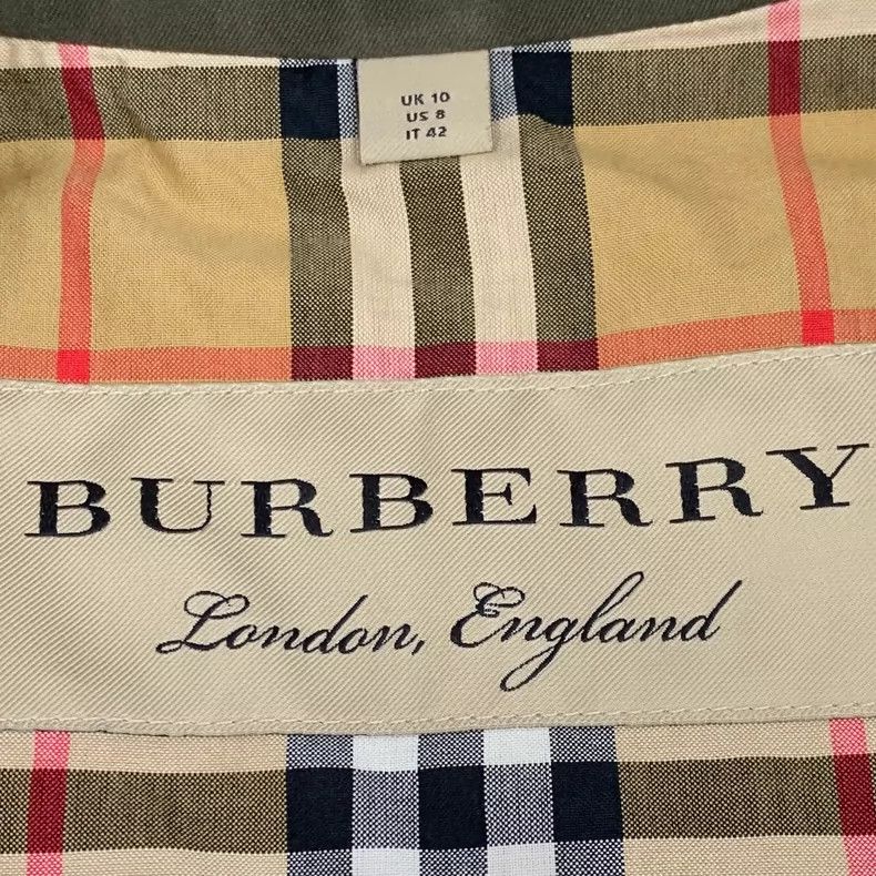 Burberry Burberry Rainbow Striped Green Trench Coat Size L / US 10 / IT 46 - 5 Thumbnail