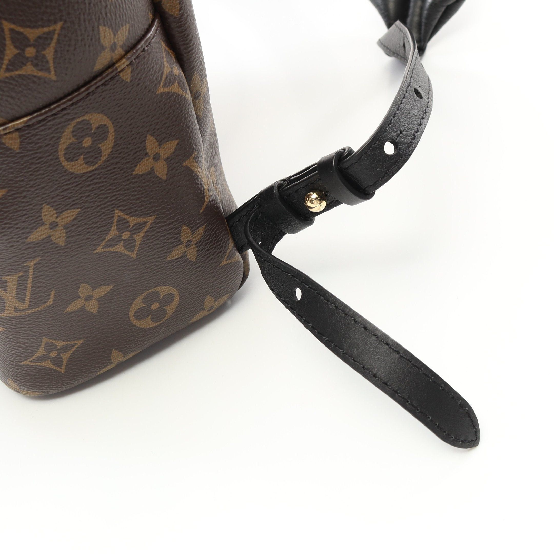 Louis Vuitton Louis Vuitton Palm Springs Backpack Pm Monogram Rucksack Leather Brown Black Size ONE SIZE - 7 Thumbnail