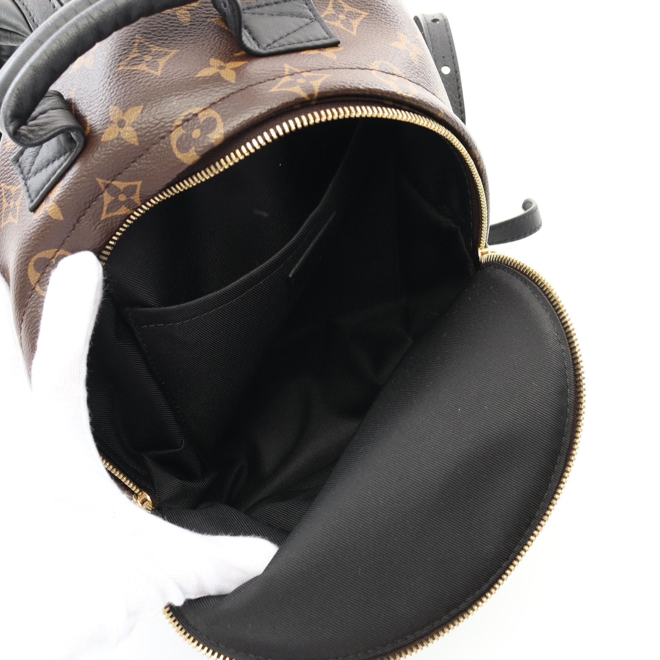Louis Vuitton Louis Vuitton Palm Springs Backpack Pm Monogram Rucksack Leather Brown Black Size ONE SIZE - 3 Thumbnail