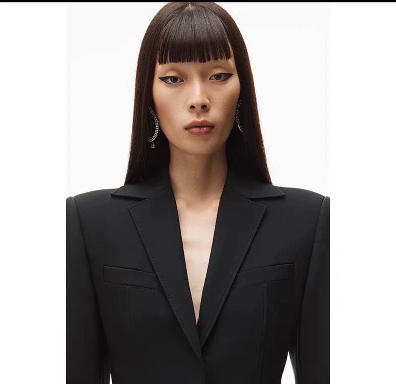 Alexander McQueen Alexander McQueen Black Suit Jacket for Sale-dmc Size US M / EU 48-50 / 2 - 7 Thumbnail