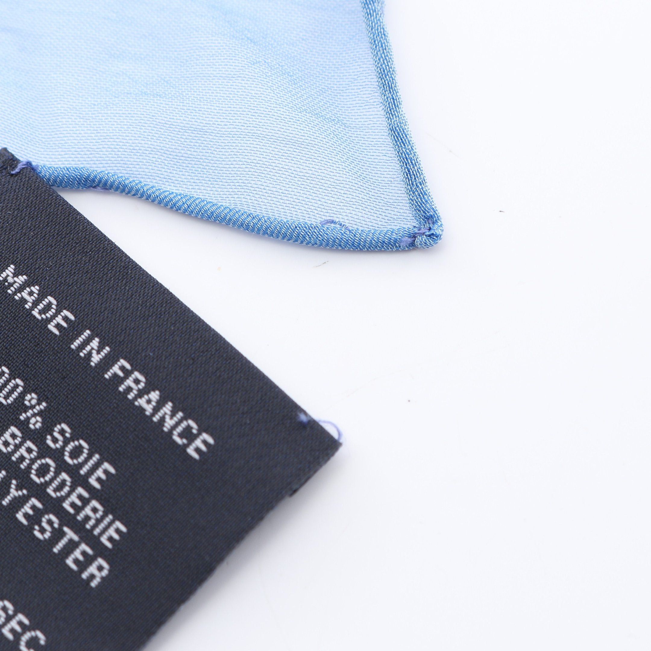 Hermes Hermes Carres 100 Multi Charm Scarf Embroidery Silk Blue Size ONE SIZE - 4 Thumbnail