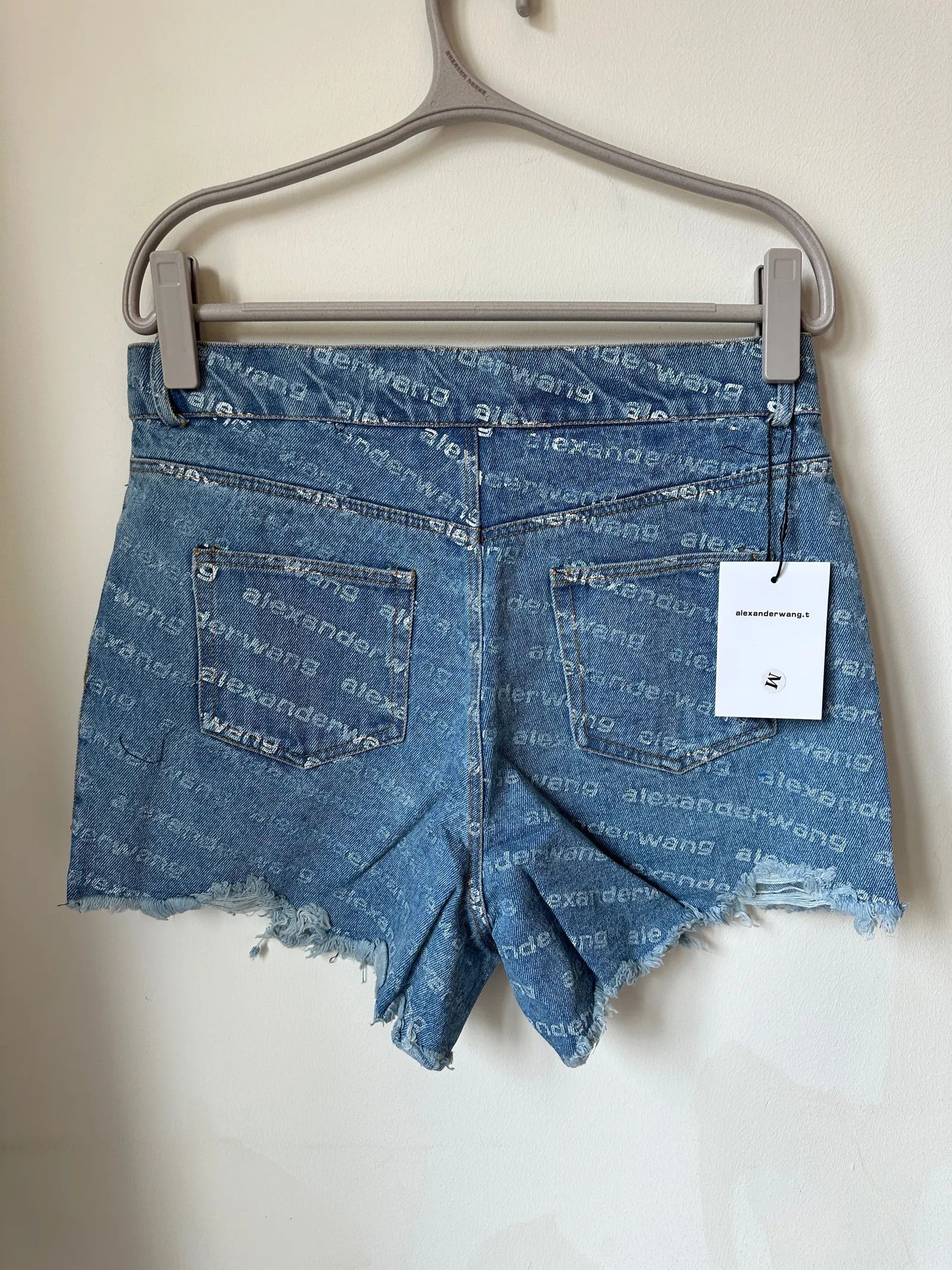 Alexander Wang Alexander Wang Shorts Size 28" / US 6 / IT 42 - 3 Thumbnail