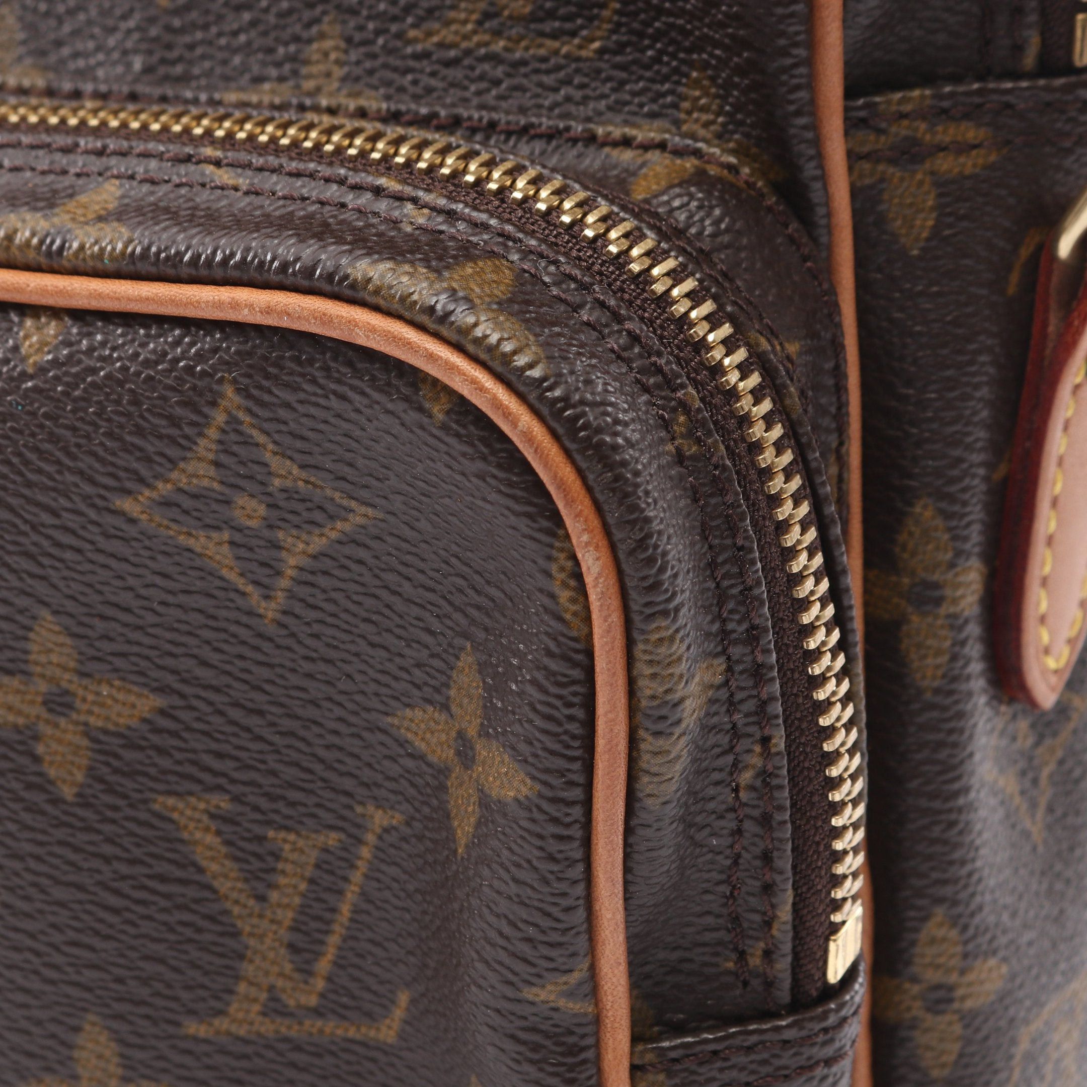 Louis Vuitton Louis Vuitton Amazon Monogram Shoulder Bag Leather Brown Size ONE SIZE - 8 Thumbnail