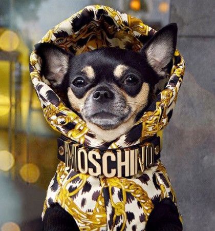 Moschino H&M X MOSCHINO BLACK LEATHER DOG COLLAR AND LEAD