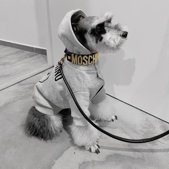 Moschino H&M X MOSCHINO BLACK LEATHER DOG COLLAR AND LEAD