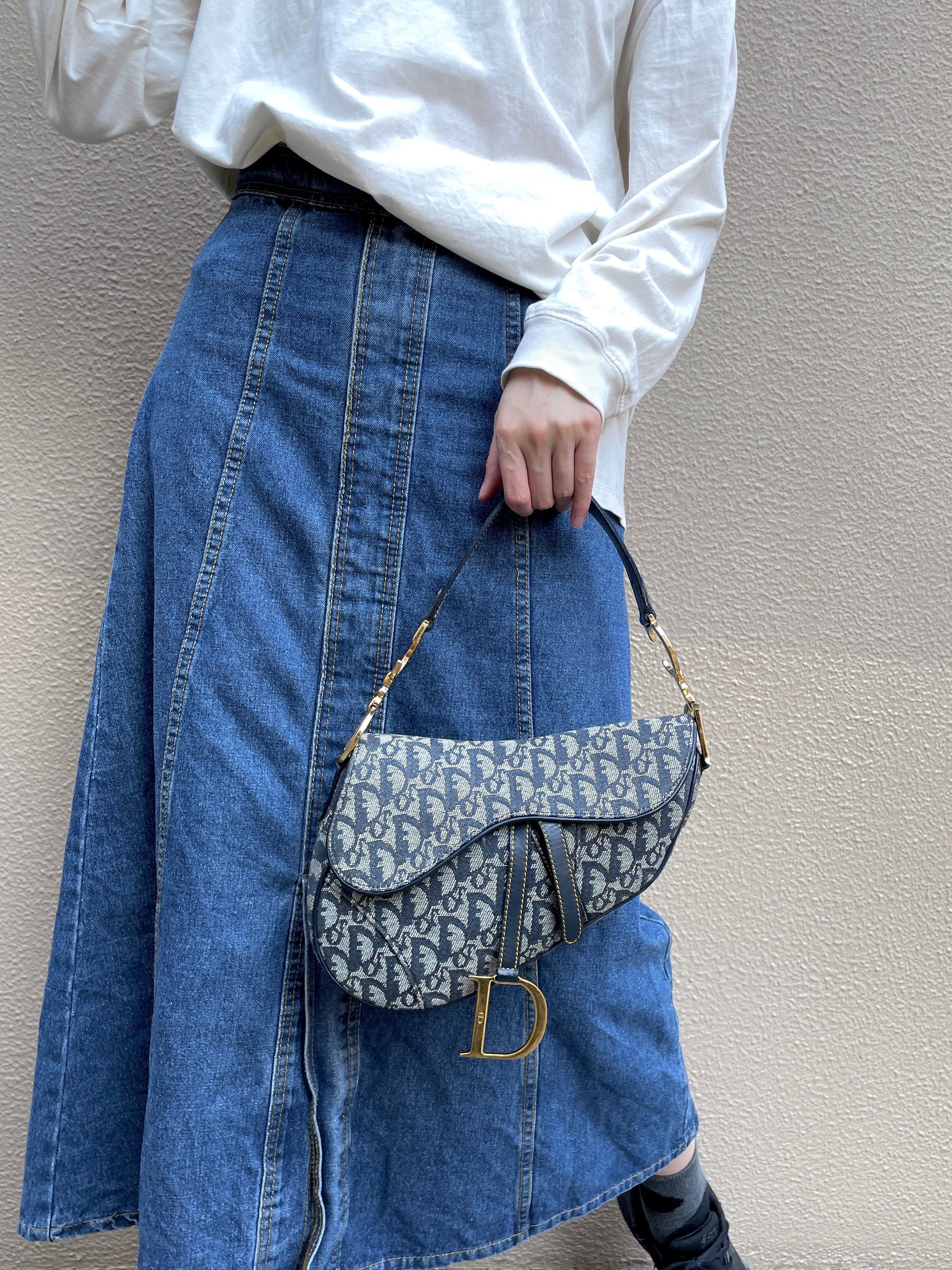 Dior Christian Dior Trotter Saddle Pouch Size ONE SIZE - 3 Thumbnail